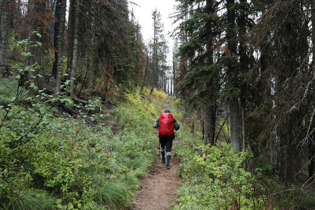 Hiking workouts aren’t just good for your body – they’re good for your mind too