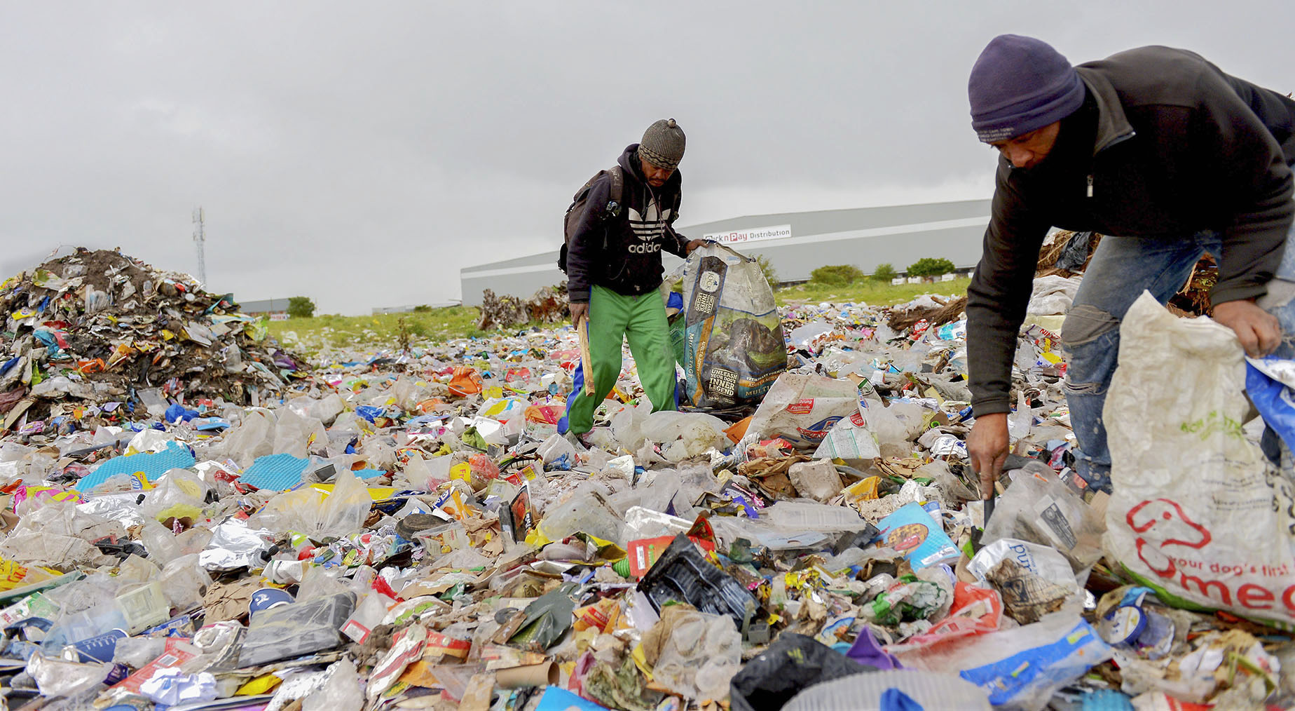 South African social movements to participate in global Festival to Fight Inequality and push for universal basic income grant