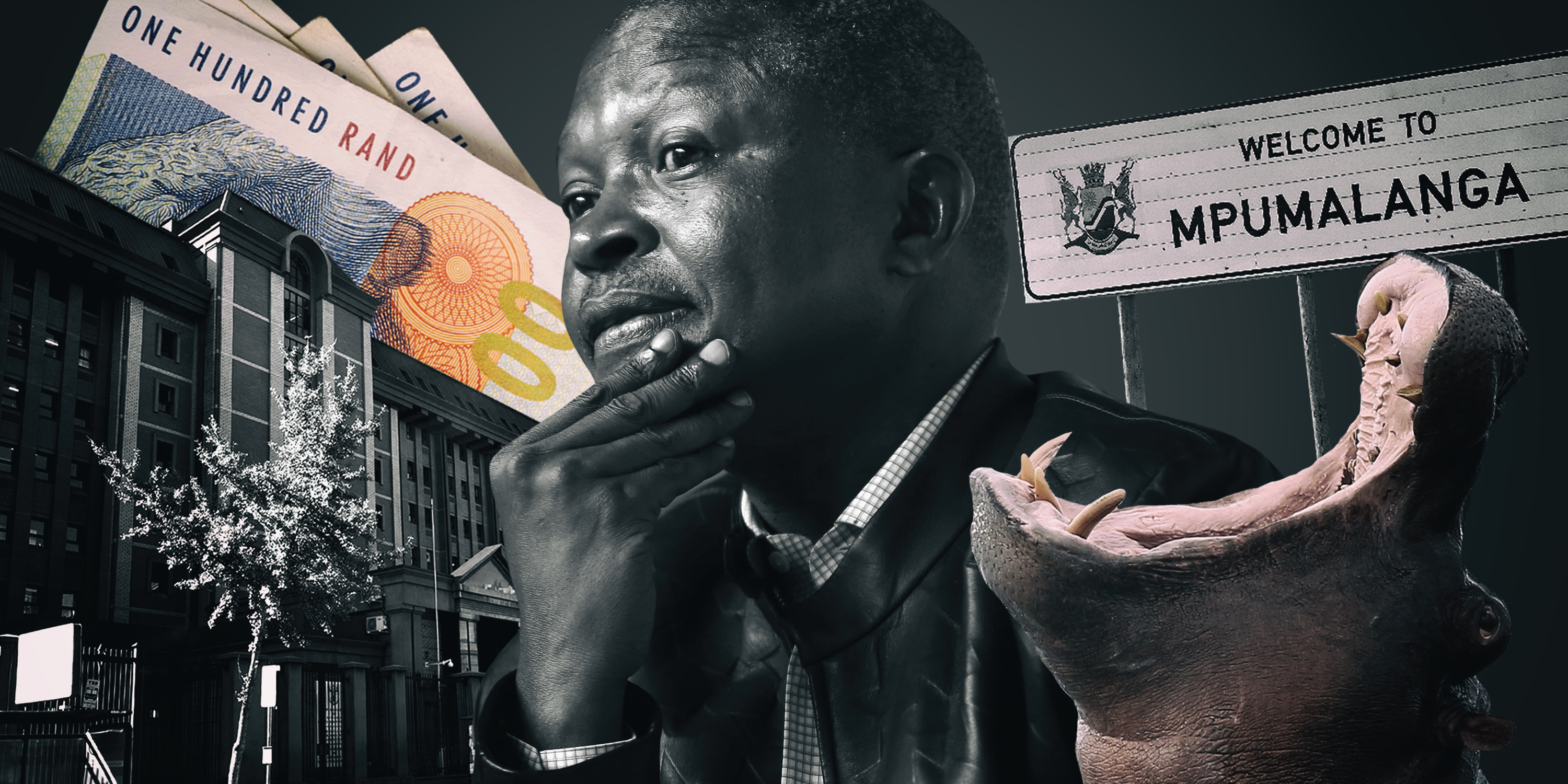 Conservationist vs Deputy President Mabuza: Fred Daniel gets his R1bn day in court after 11 years