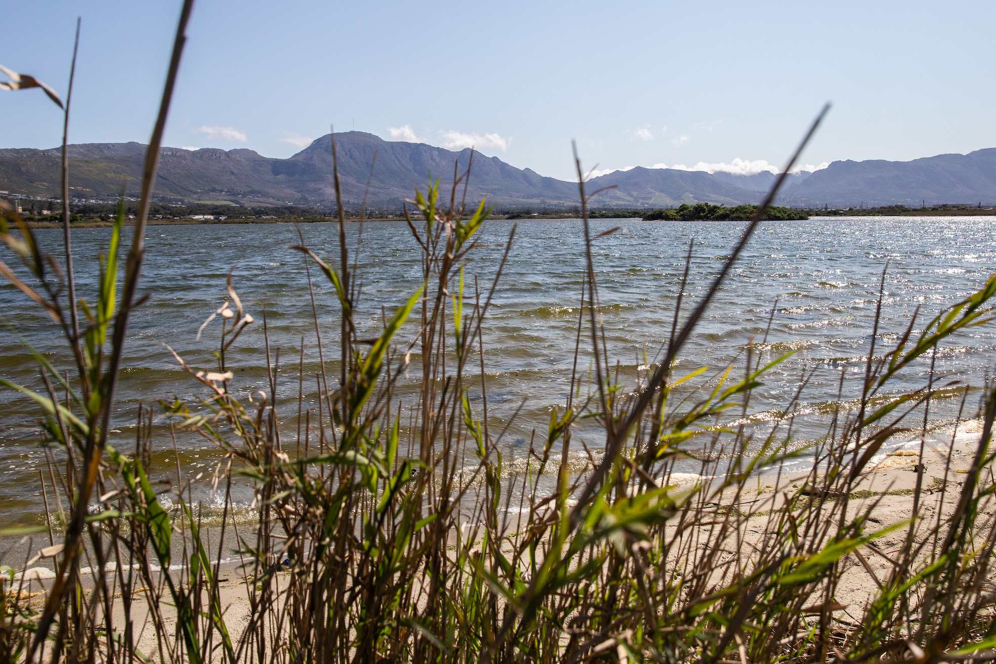 Petition attracts 6,000 signatures demanding City of Cape Town comes clean on water quality