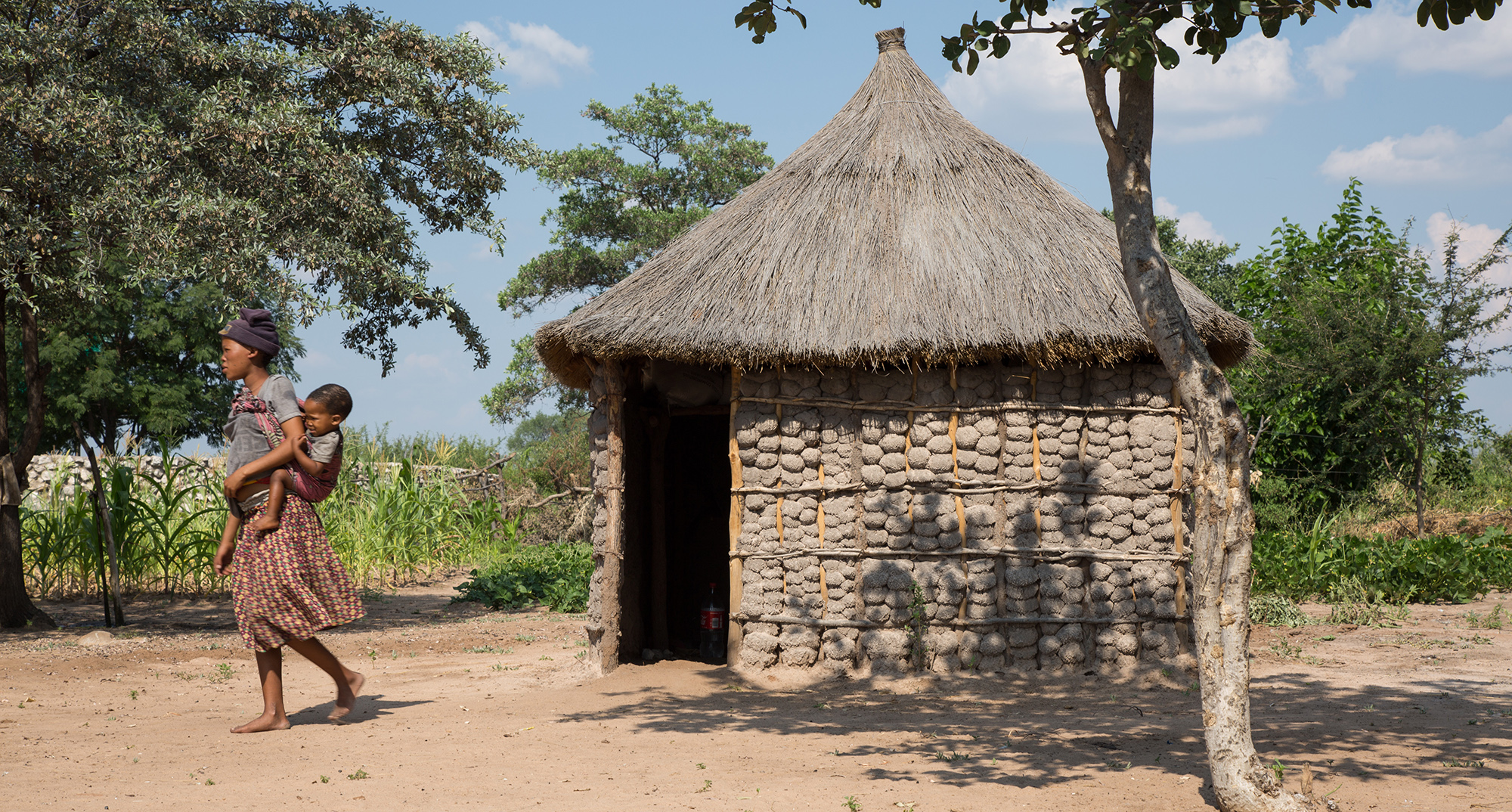 San lands 'invaded' by cattle in Namibia