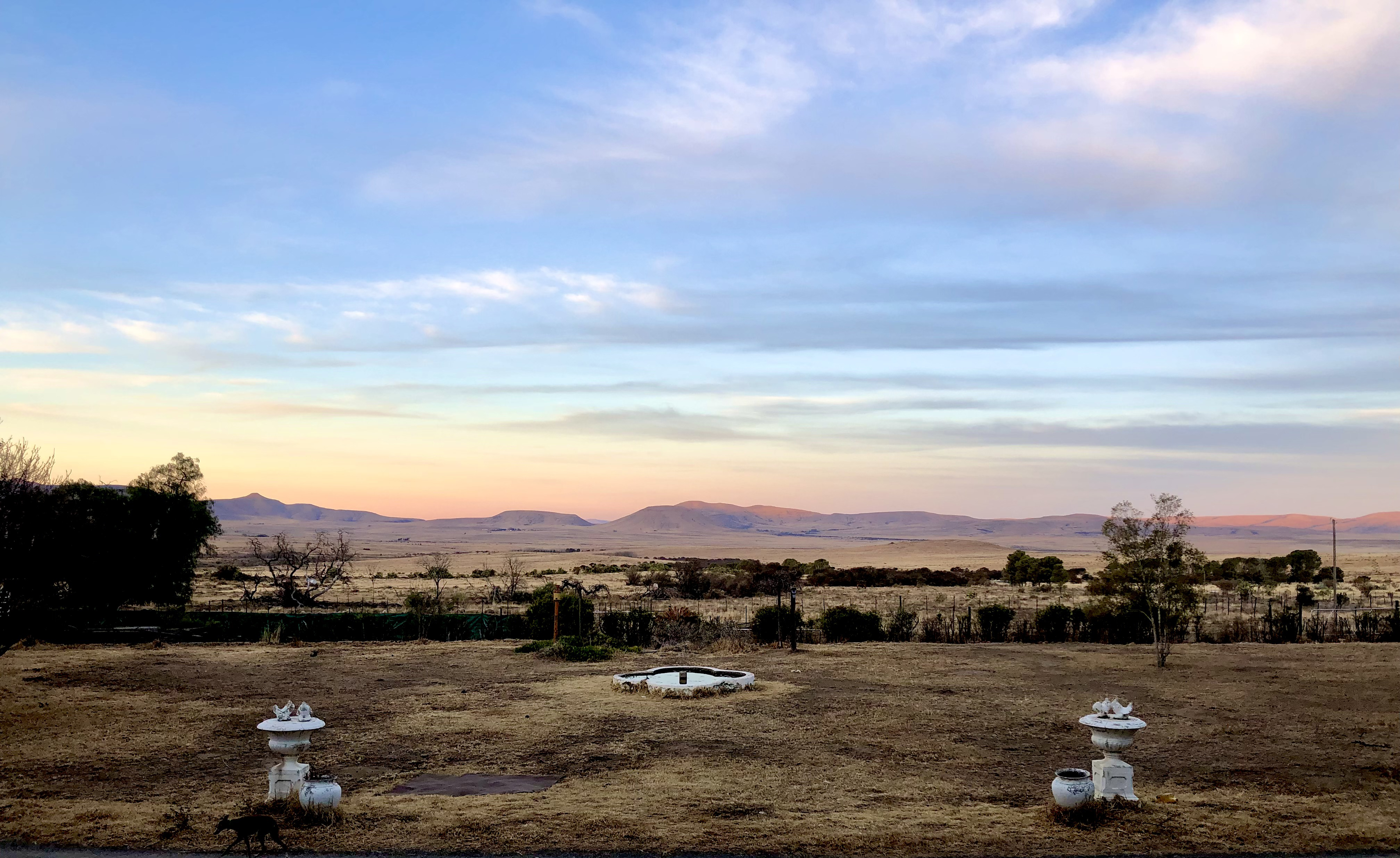 The grazier, the novice and the Day of the Hunt