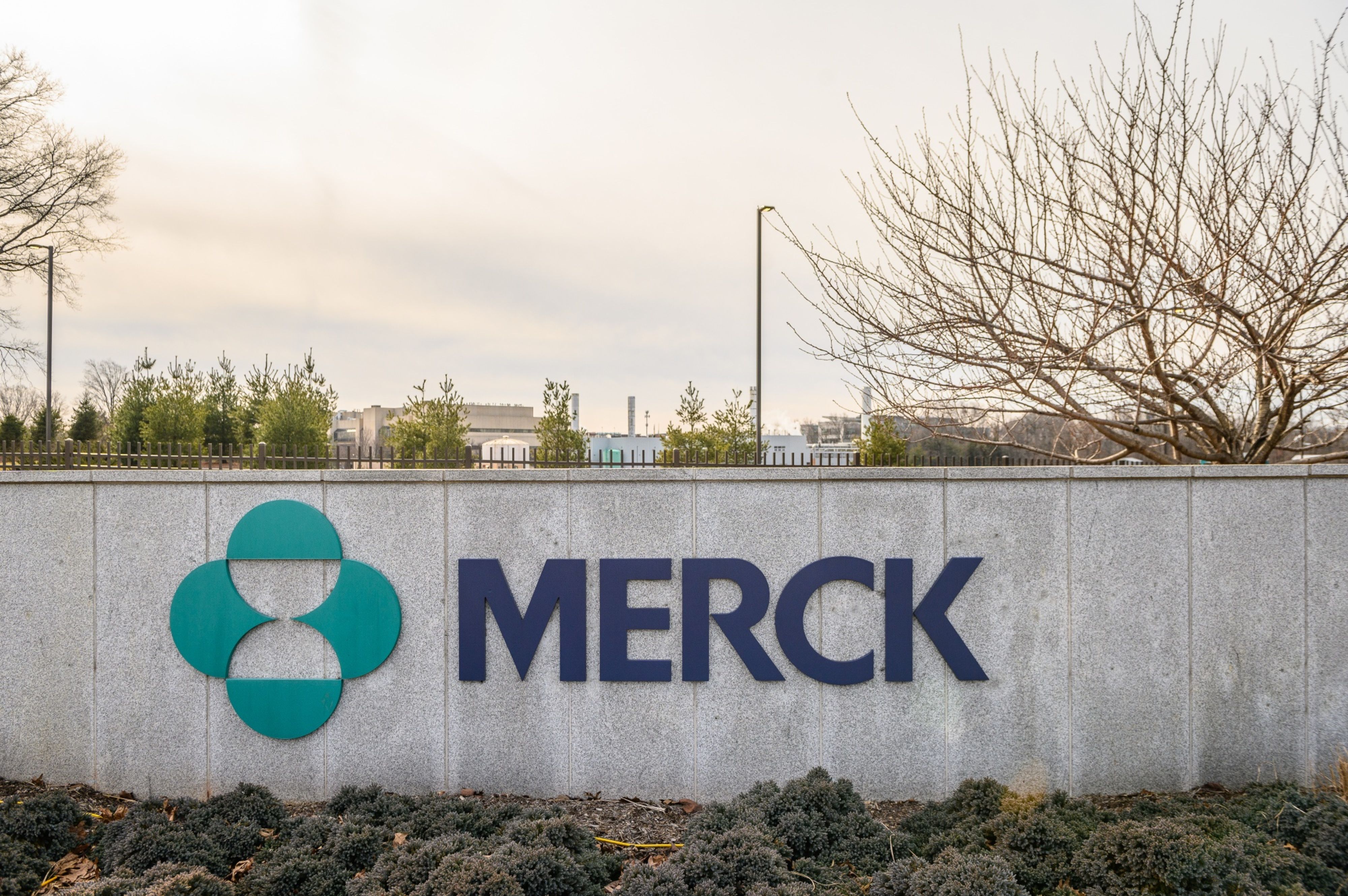 Merck Treatment Inhibits Covid Variants, Early Data Show