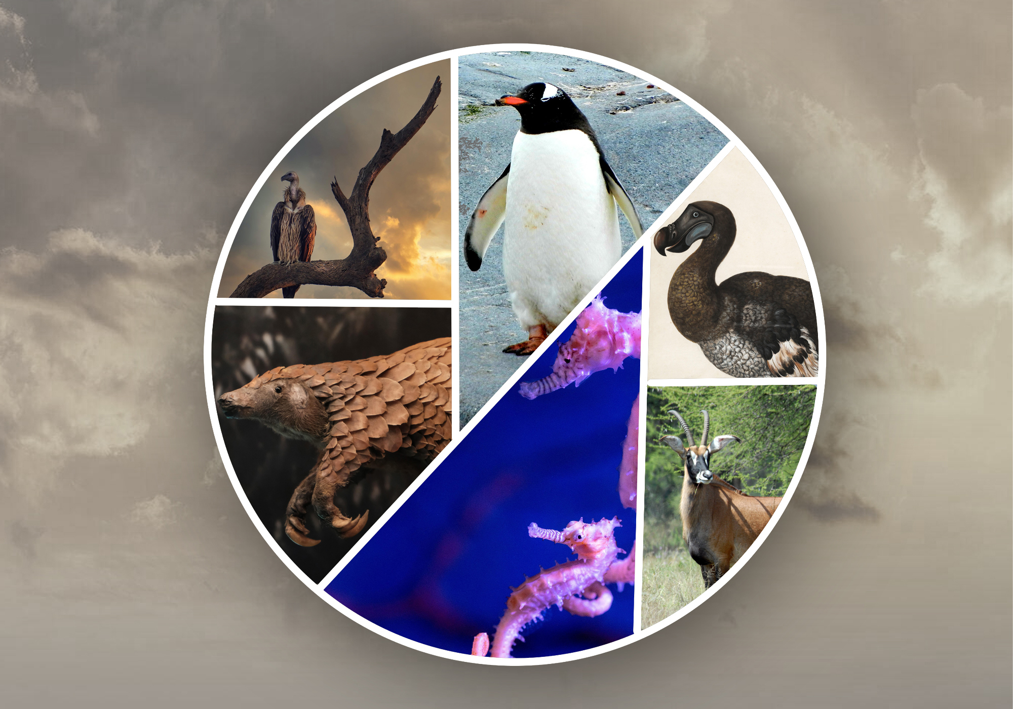 All Rhyme, No Reason: The not-quite extinct limericks that underscore the decline of endangered species