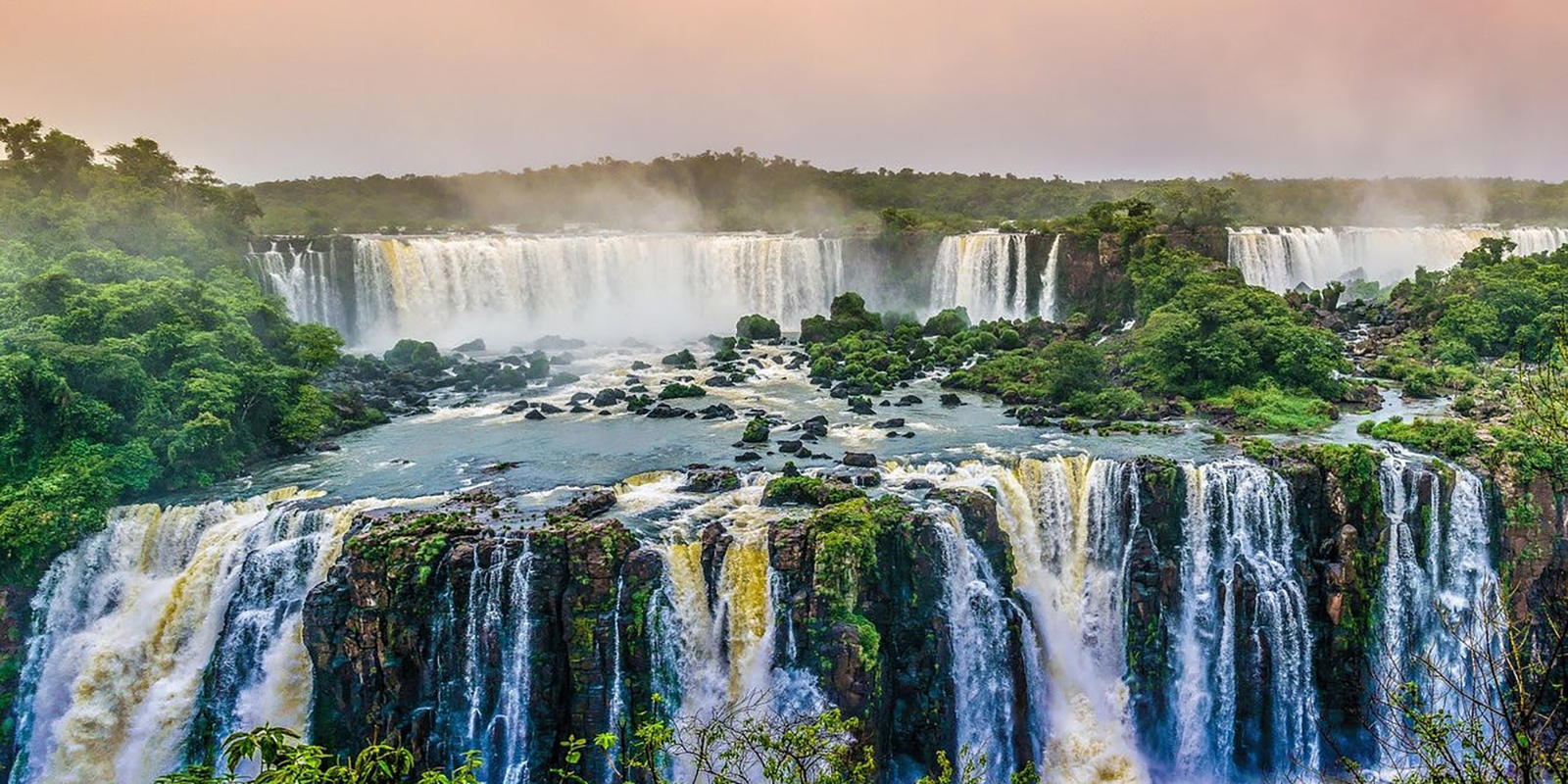 African tropical mountain forests store far more carbon than previously thought, new research shows