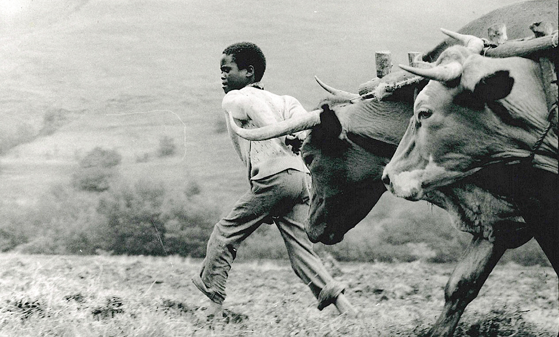 Why are you looking at me? Photographs by Jean du Plessis