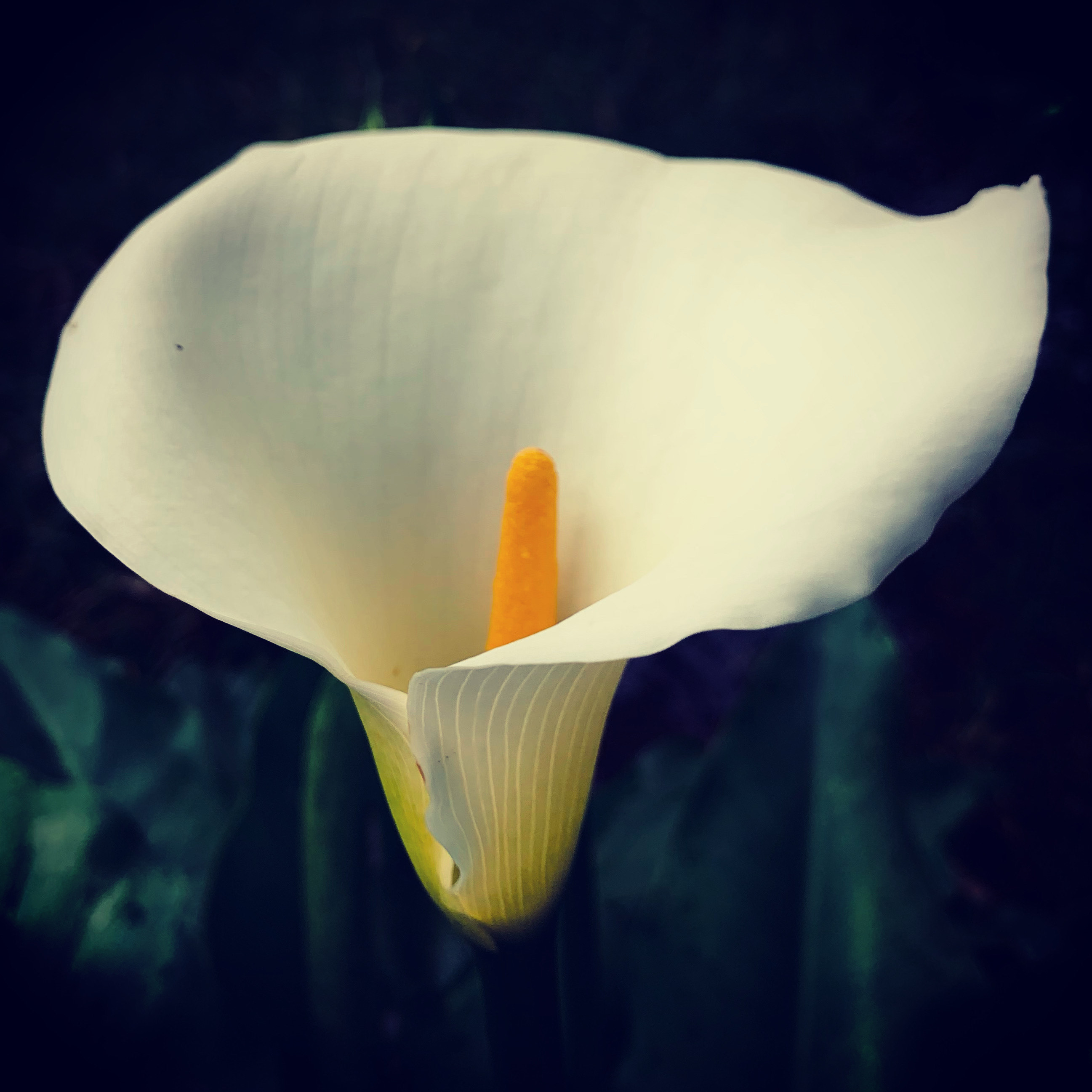 F8011F2C-78EA-4E86-A30C-EBDF3880CB90