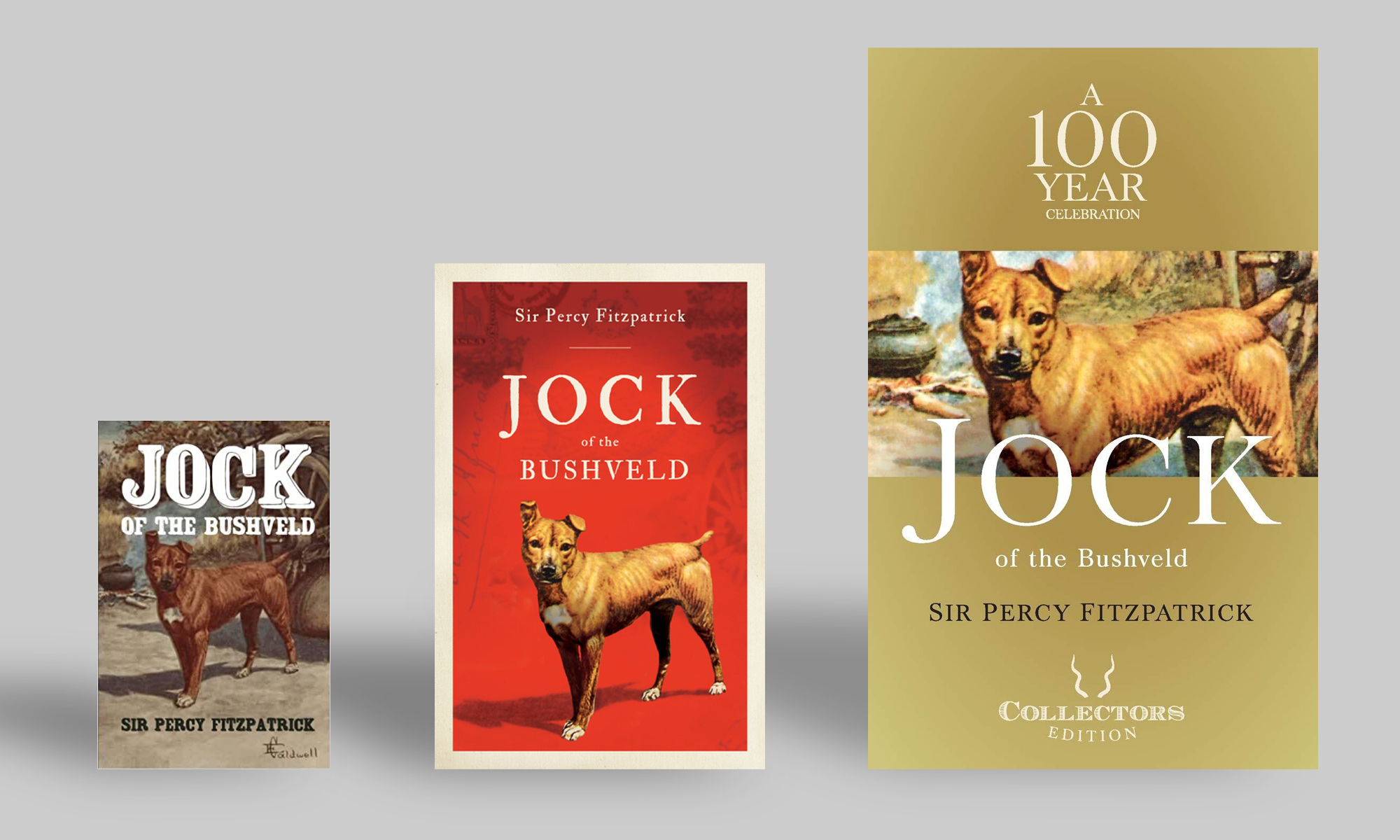 Should we burn ‘Jock of the Bushveld’?