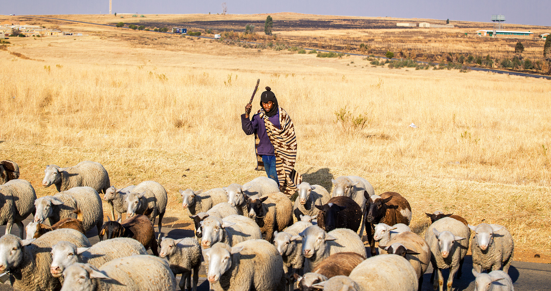 Big corporations have ‘hijacked’ UN food summit, say activists