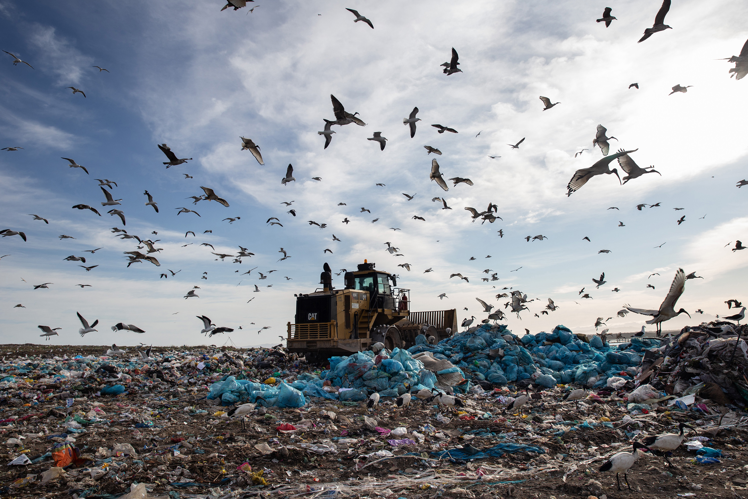 Waste management: A very public private affair