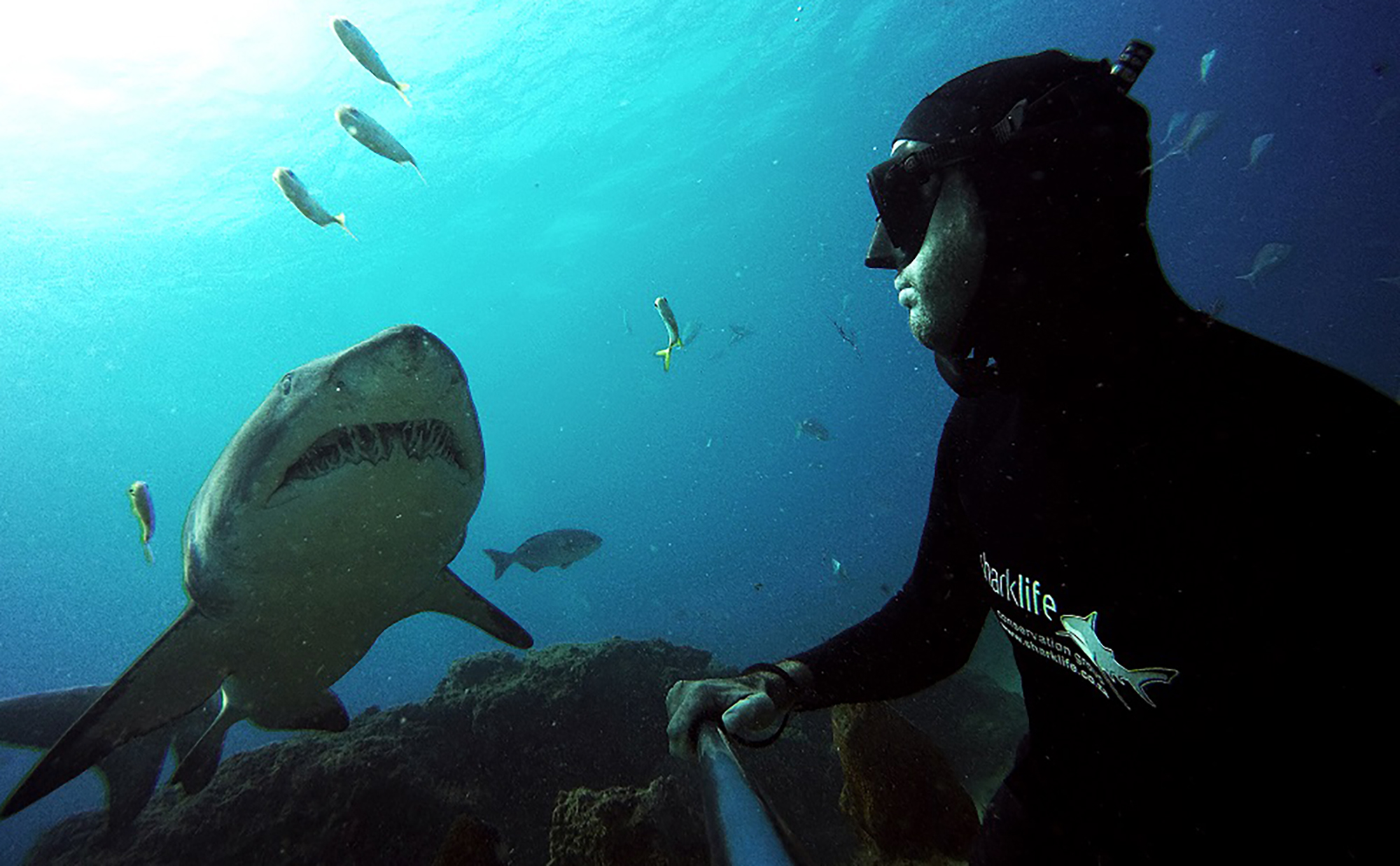 From fear to fascination: How Grant Smith learnt to love the 'men in grey suits'