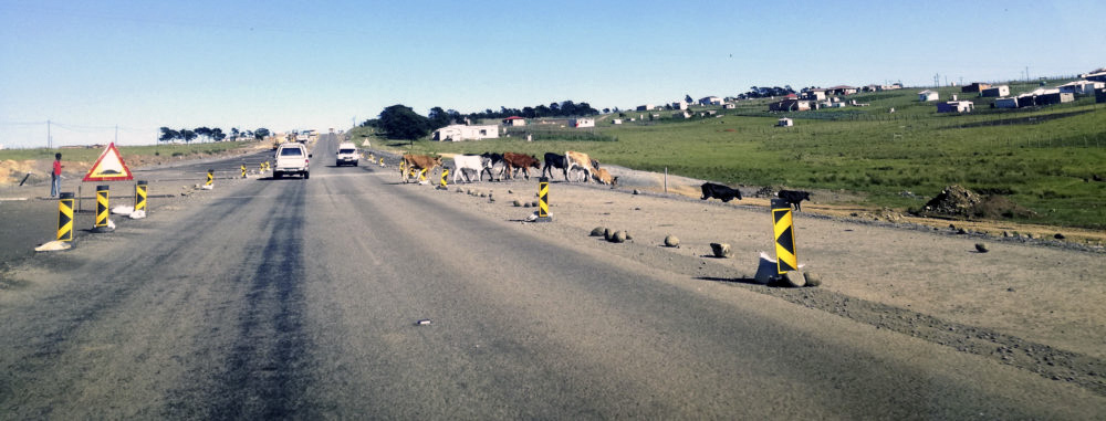 Sparks fly at meeting with rural community over proposed N2 Wild Coast toll road