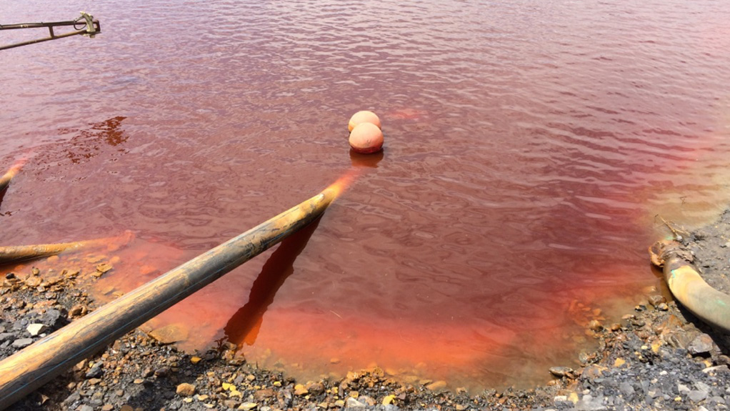 Wits for climate justice