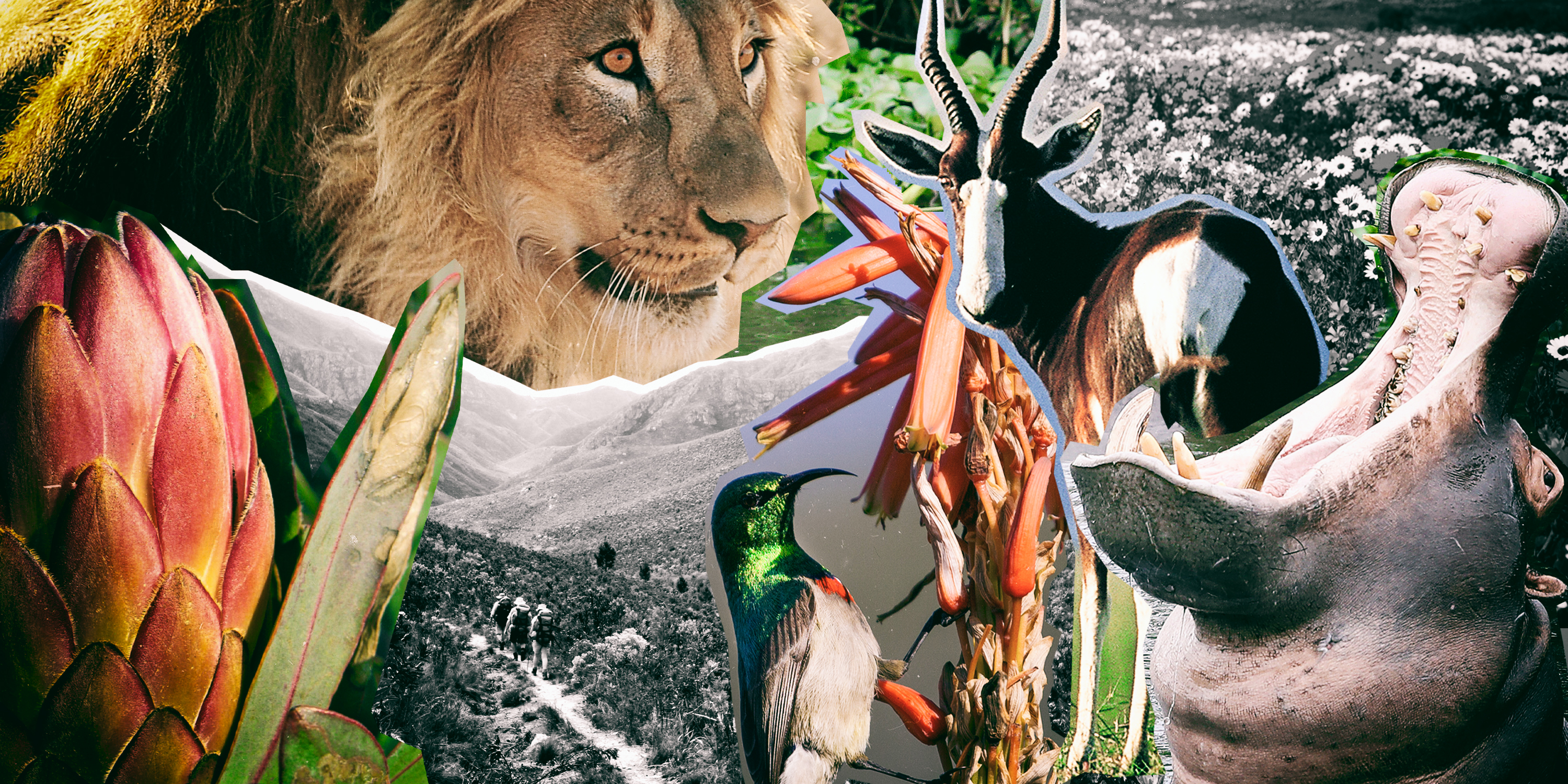 SA’s protected areas growing at a healthy rate, report reveals