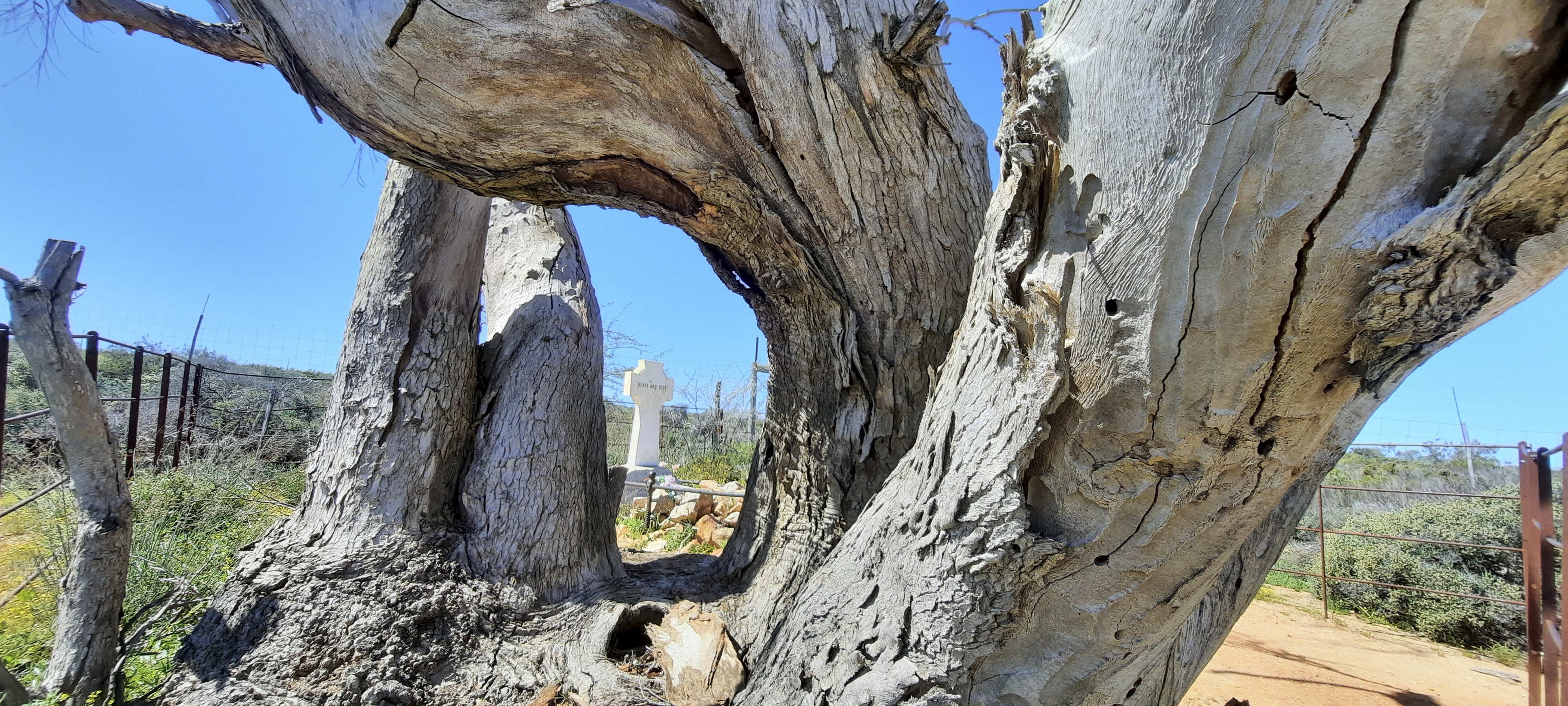 The curious case of the absent dead Englishman