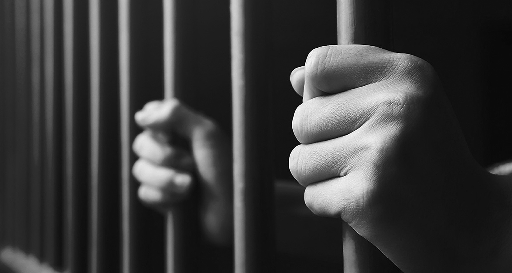 A snapshot of arrests, NPA prosecutions and convictions – 1 February 2022