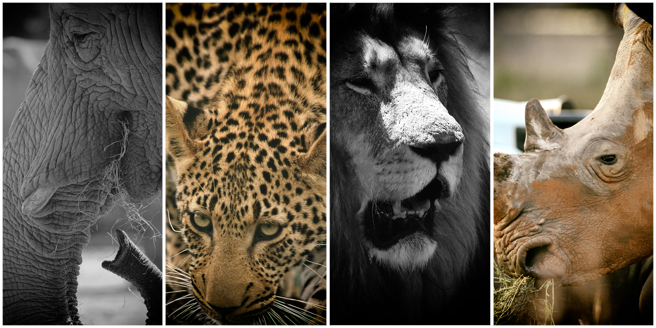 Nature, not humanity, is the source of life, and the purpose of conservation is to serve Nature