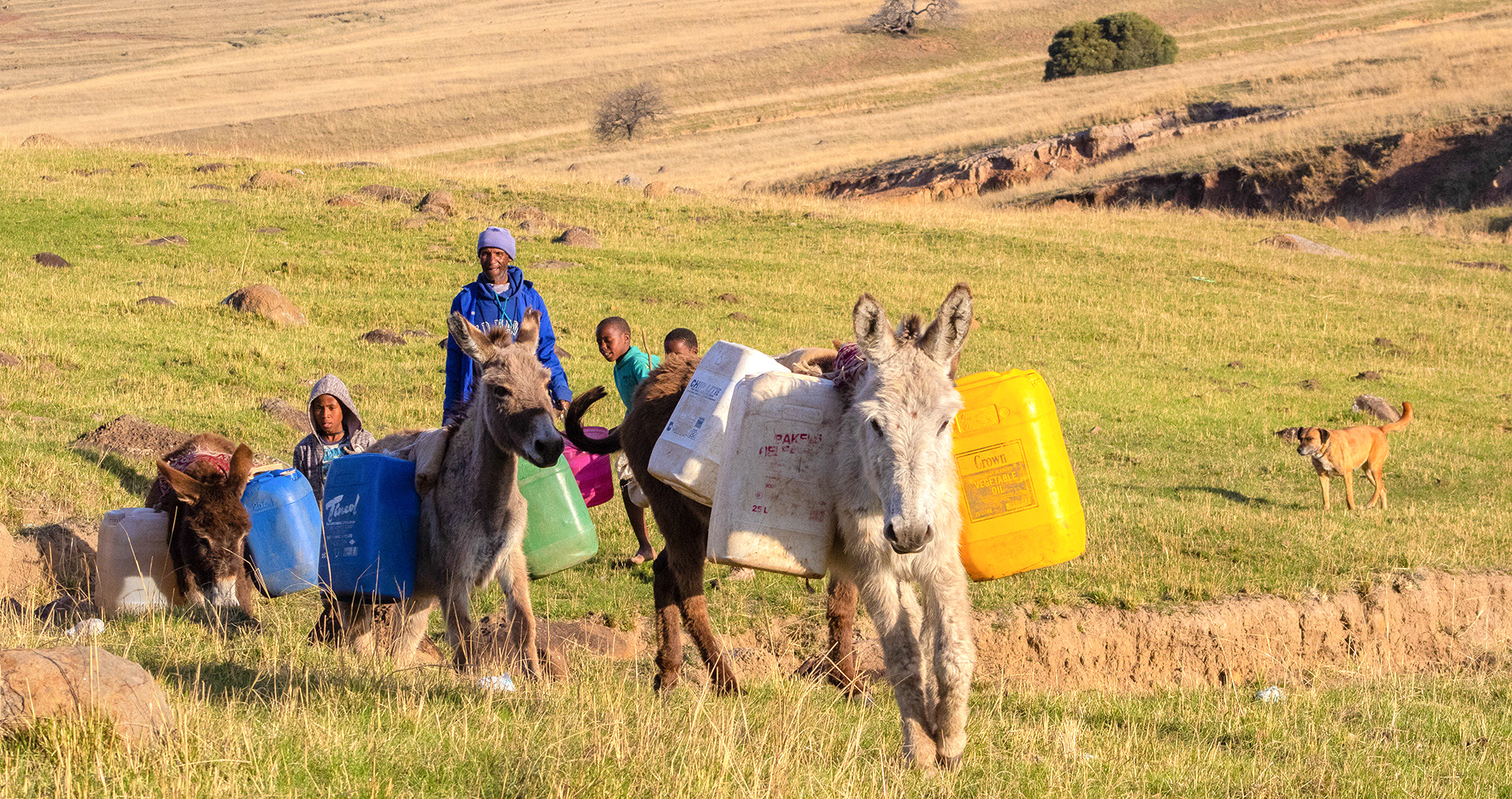 Eastern Cape communities secure a major high court victory on providing water