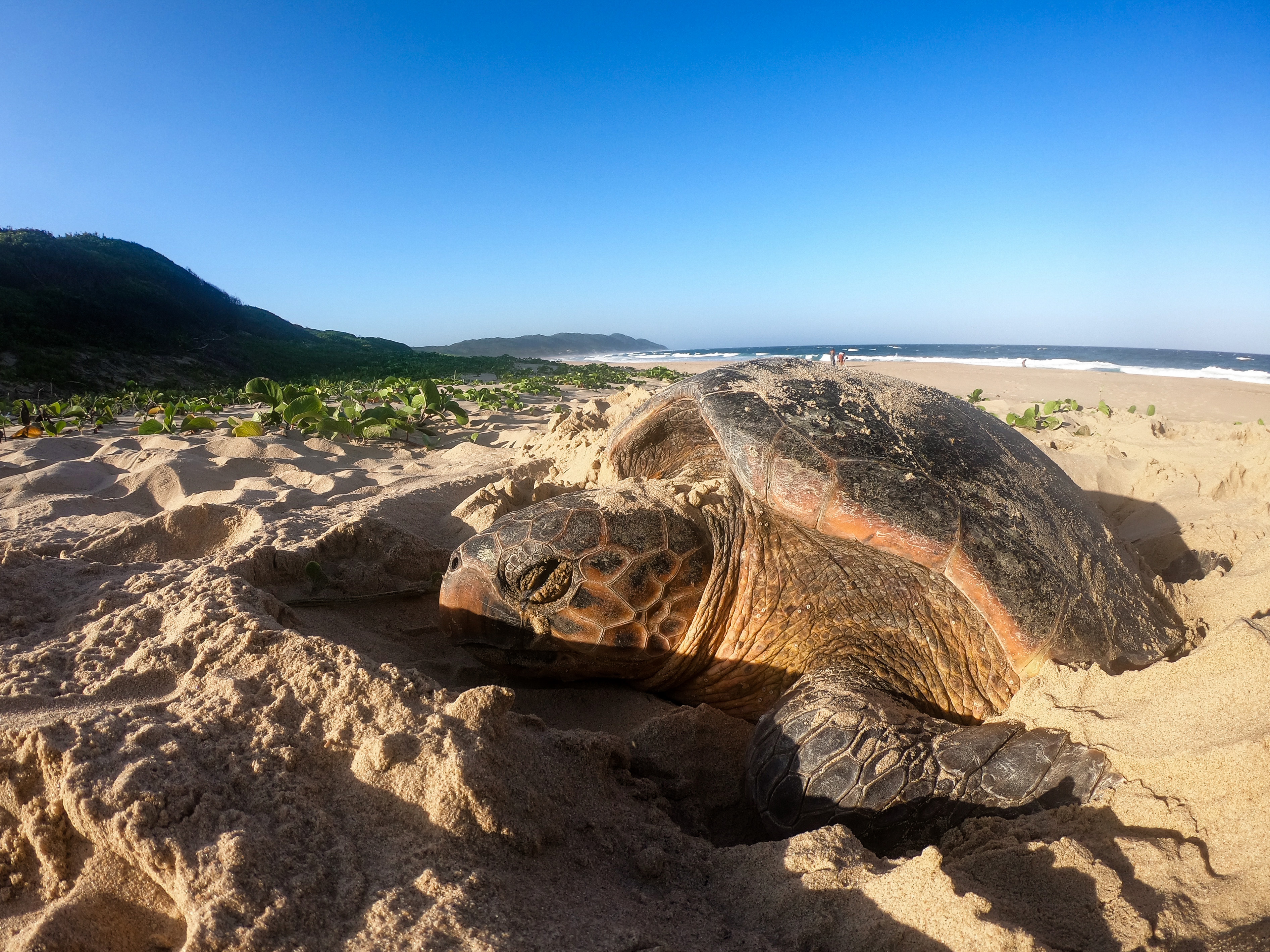 A better tomorrow: The challenges and changes of Marine Protected Areas