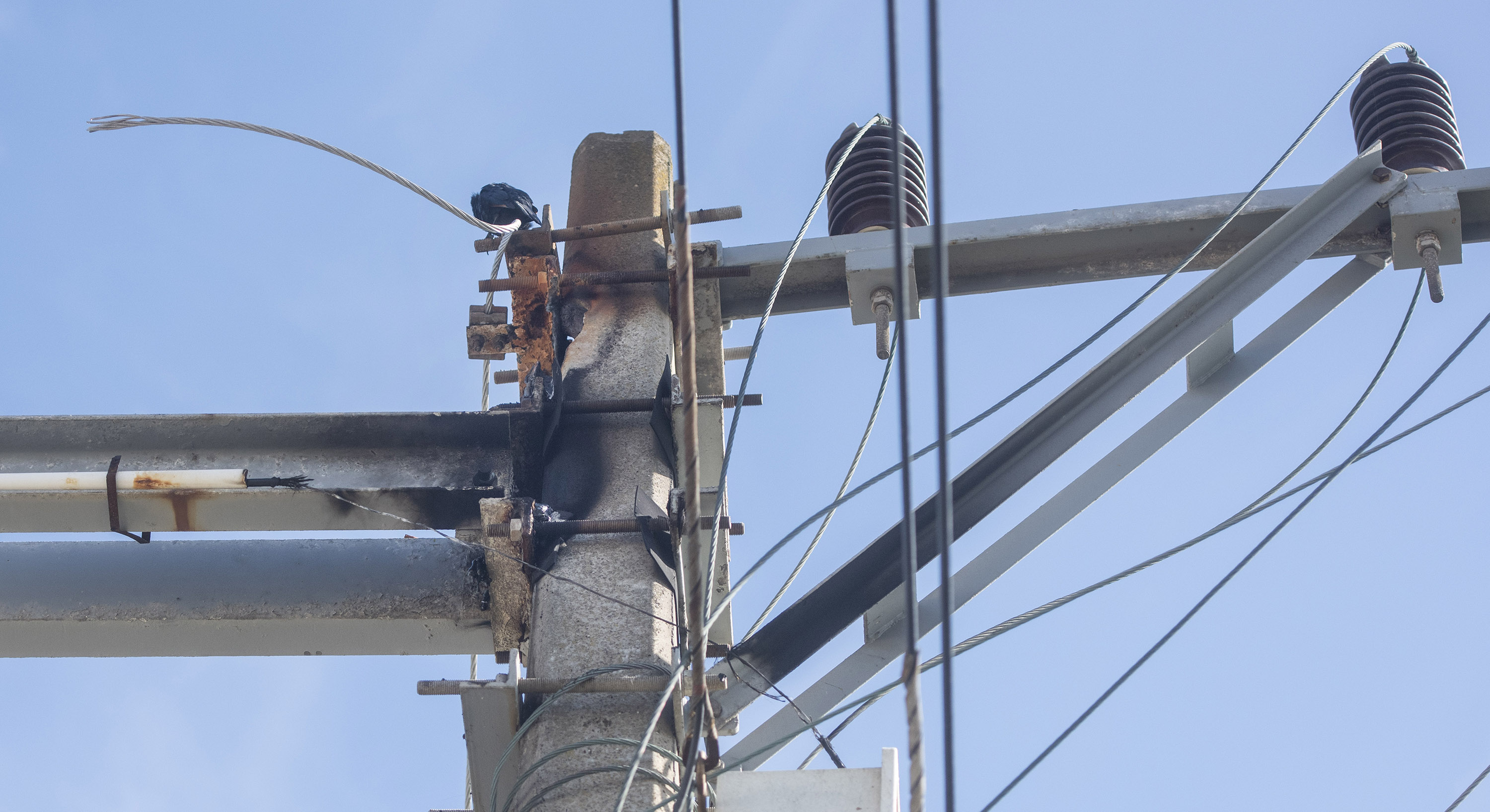 Cape Town to spend R40m on curbing ‘scourge’ of energy infrastructure vandalism