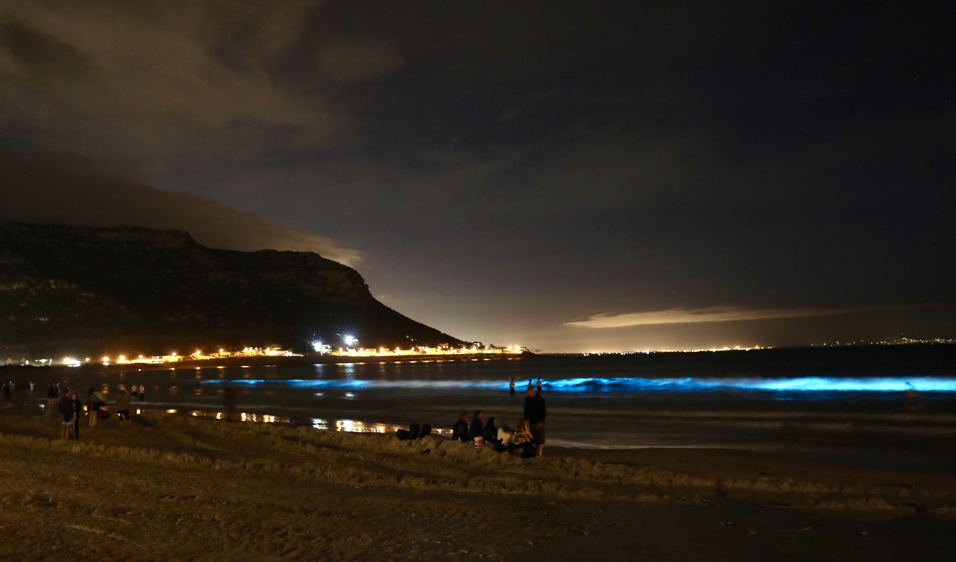 Spectacular natural choreography: how the ocean put on a show of blue bioluminescence around False Bay and Hermanus