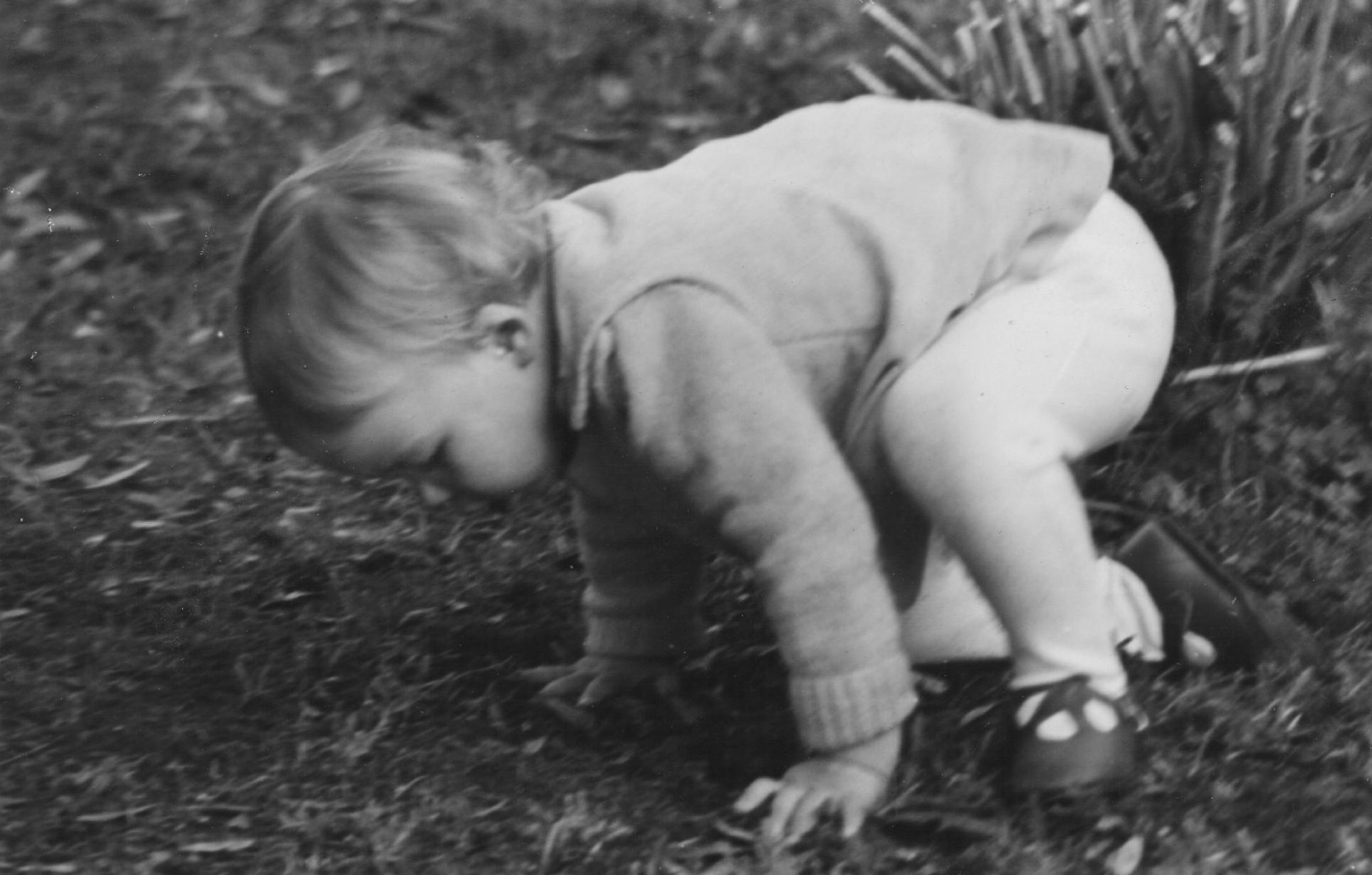 Reflections of a Wayward Boy: South of the border, down Mahikeng way