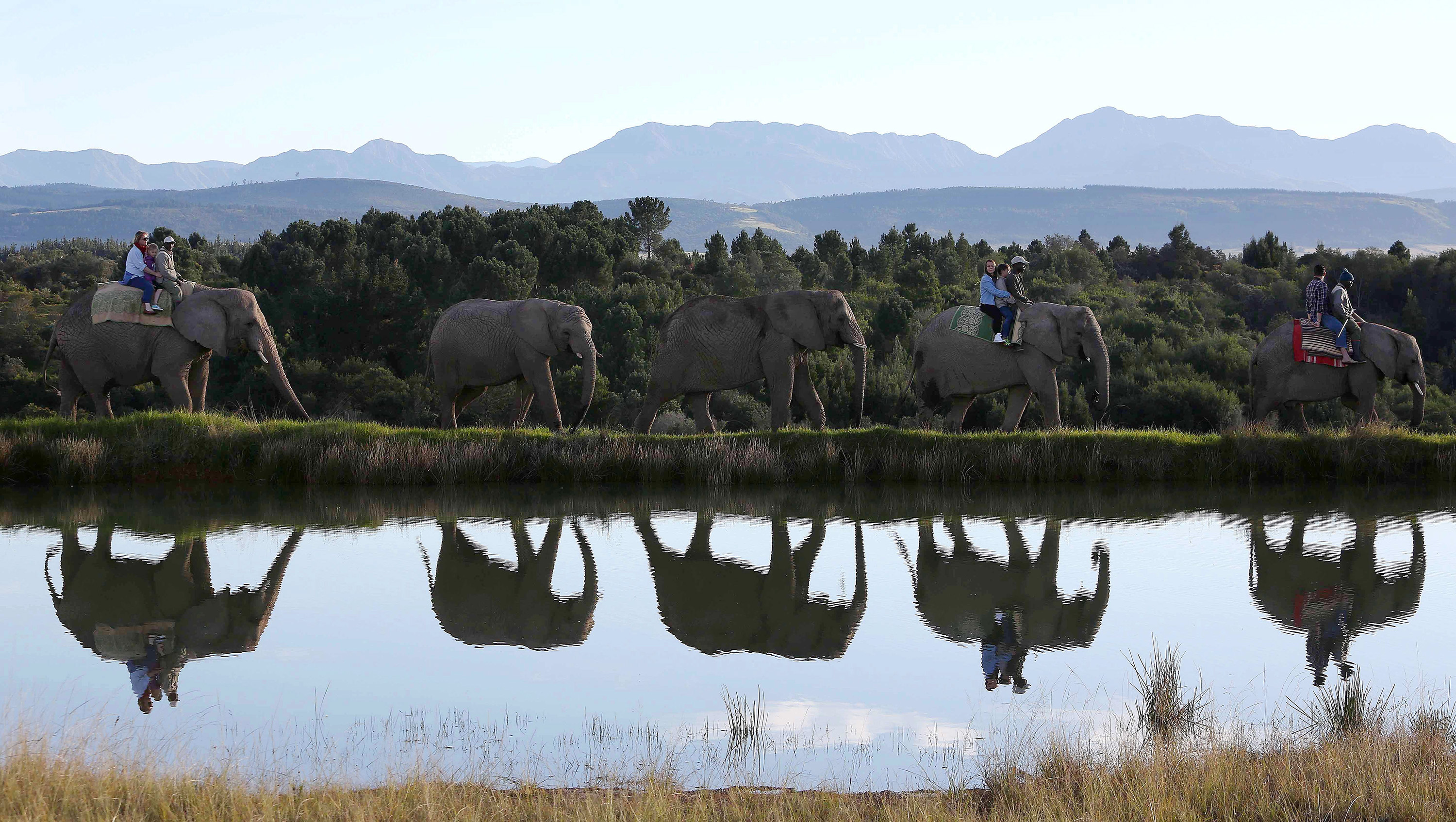 Public Protector finding on tourism maladministration will be one of the first things on the new Knysna council's to-do list