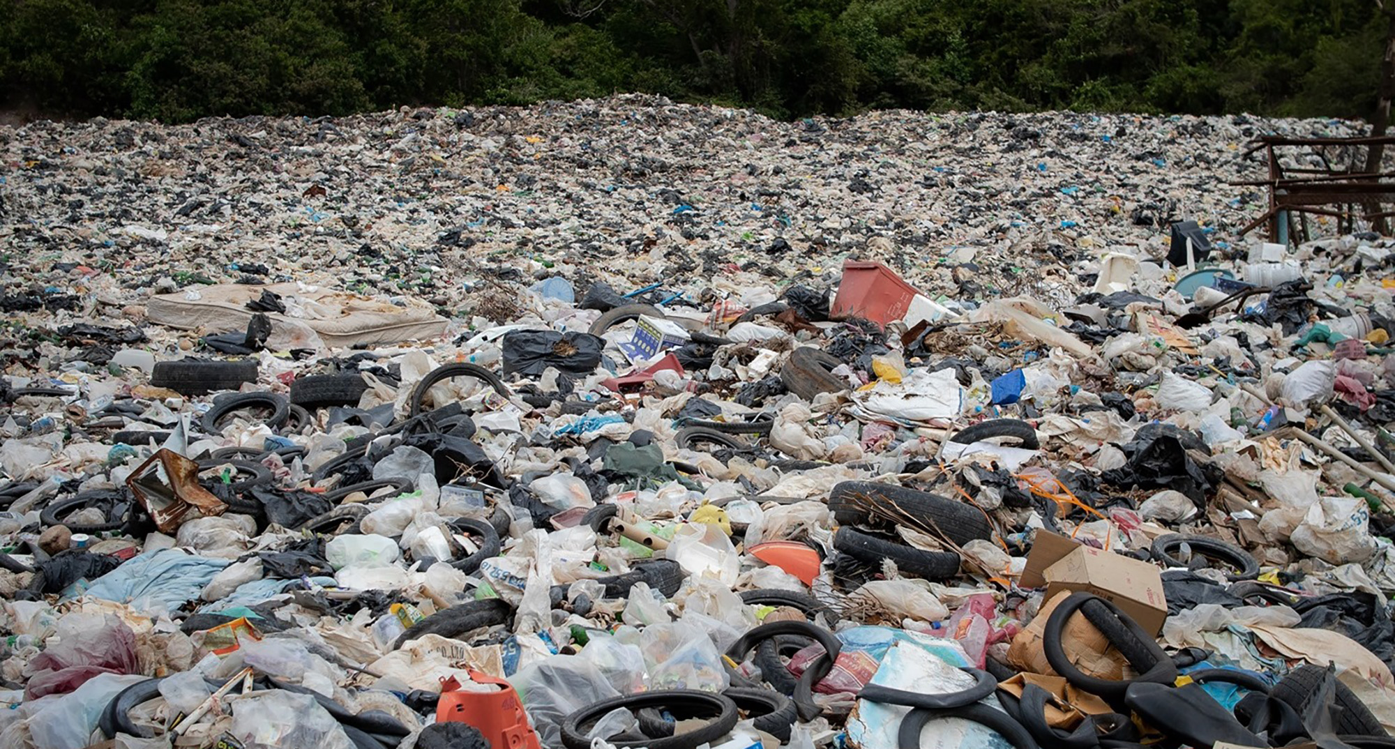 Eastern Cape municipality given suspended fine of R1m and forced to relocate mismanaged landfill site