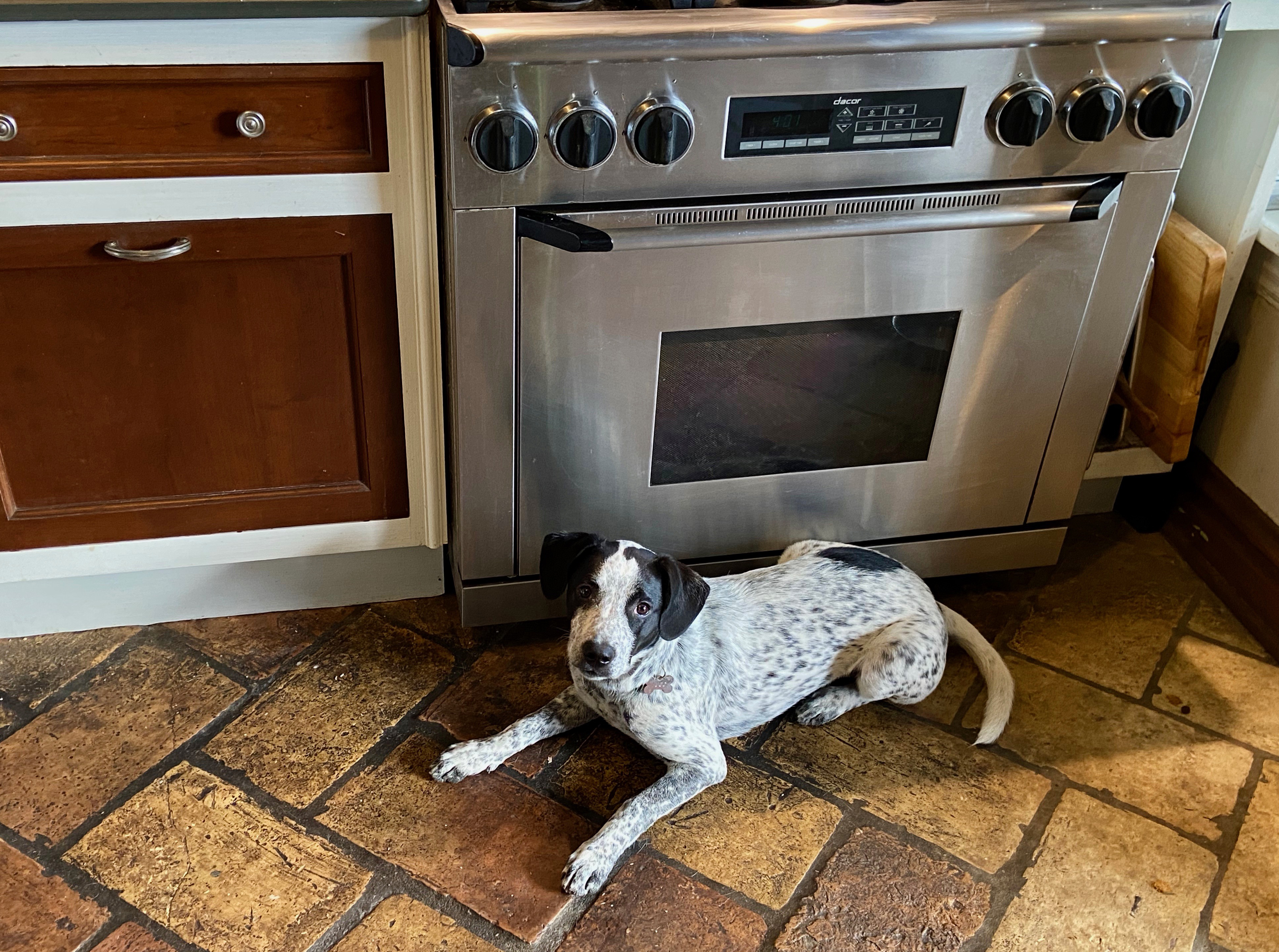 Plan B for Dinner: The Curse of the Missing the Main Ingredient Syndrome