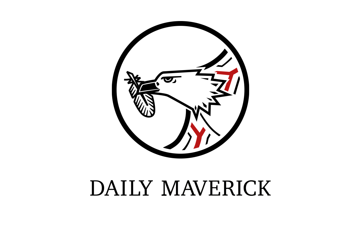 Daily Maverick investigations and award winners 2023