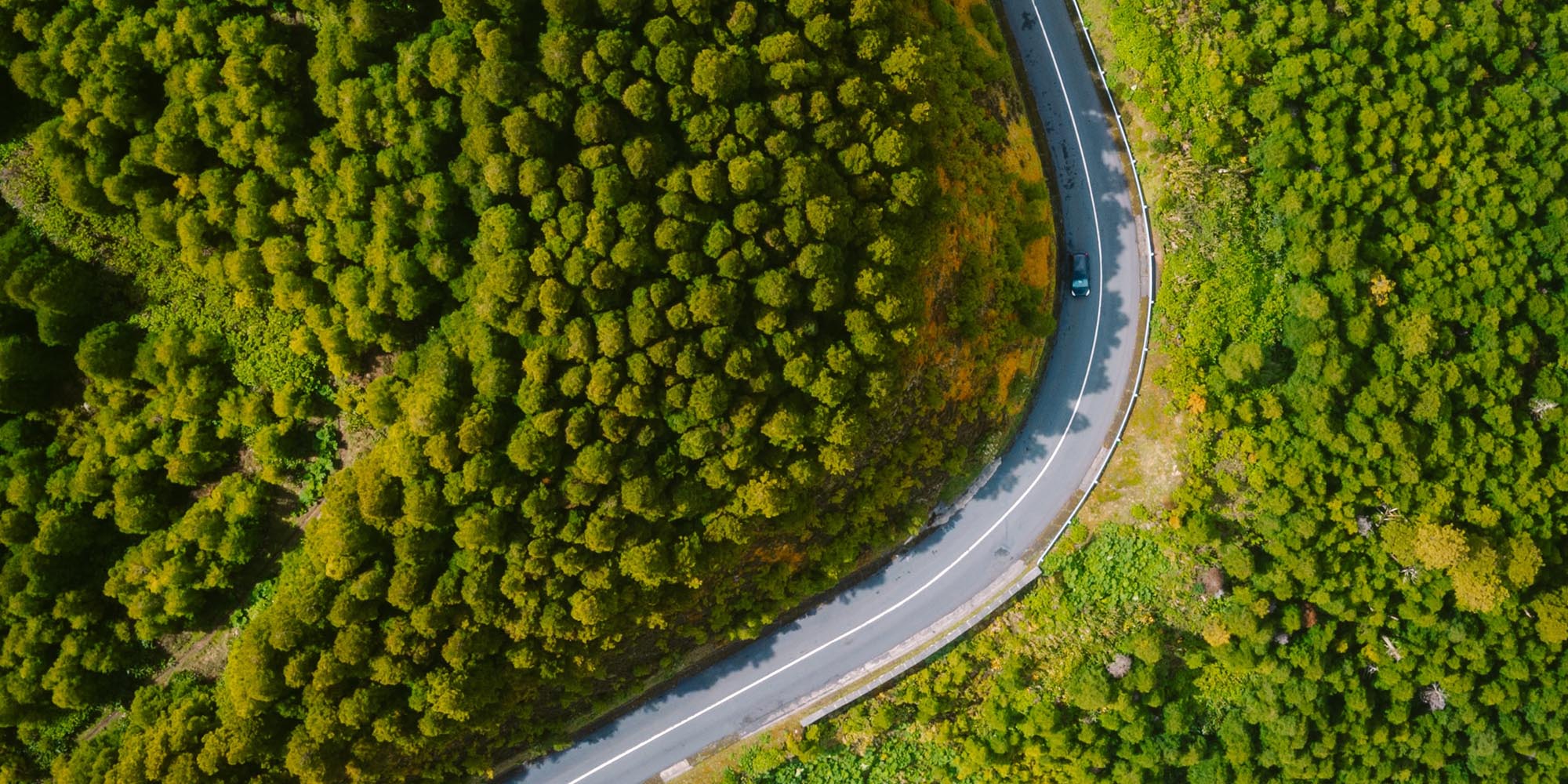 Green wheels: The future’s electric — but South Africa's late out of the starting blocks