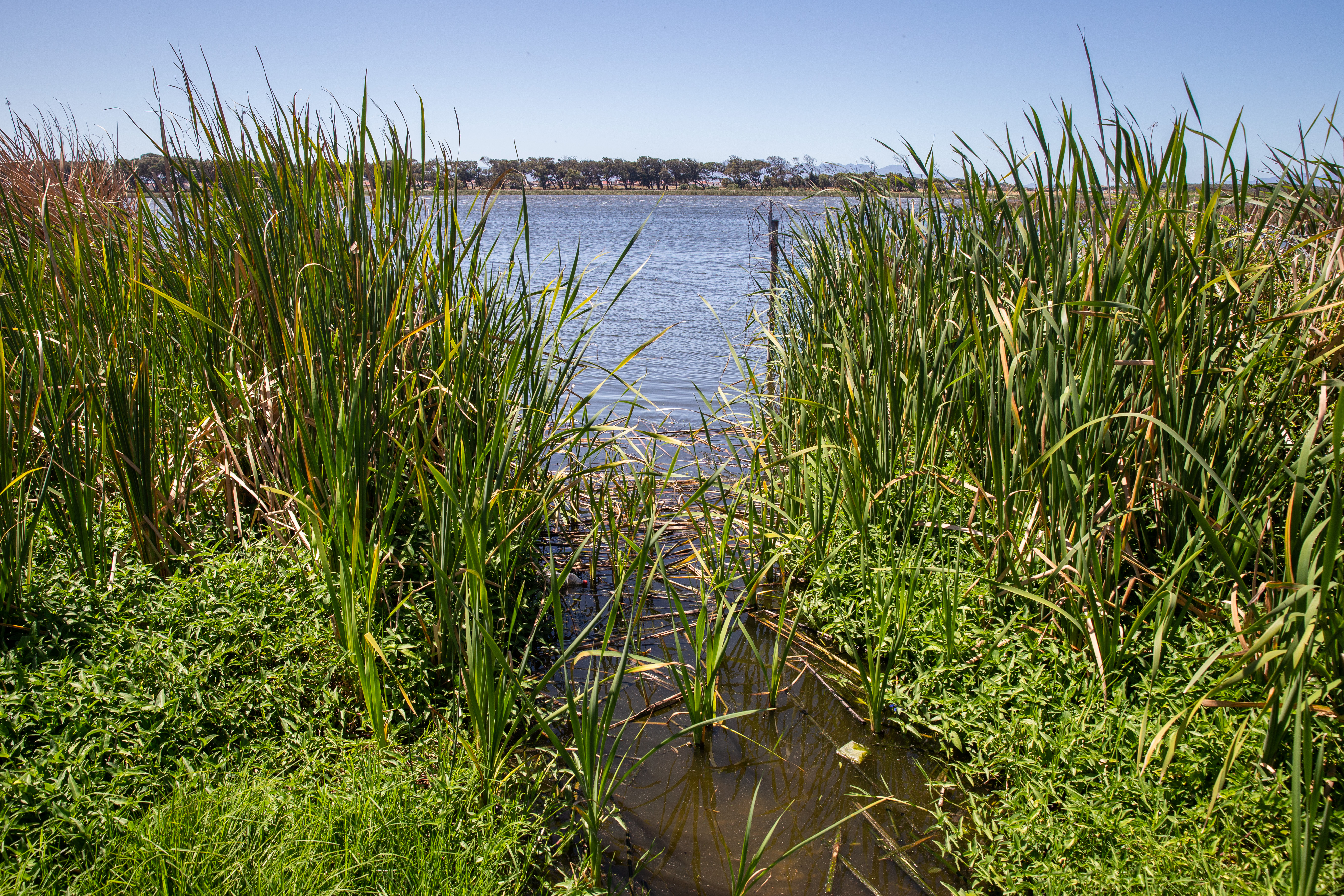 Vital insect research unit to close due to government funding delay