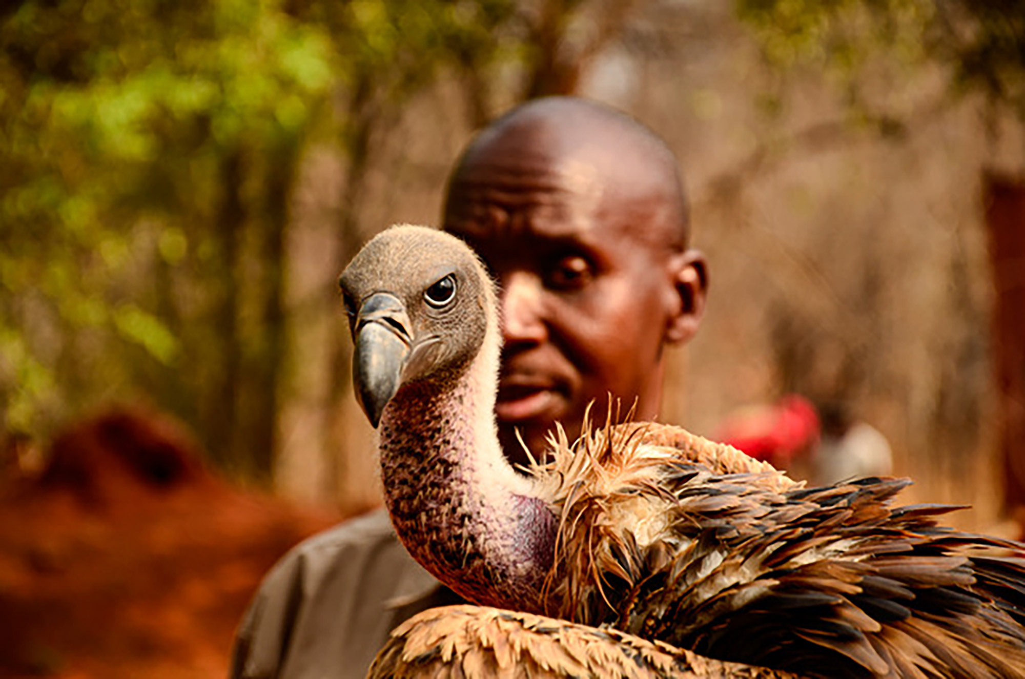 Private investment is good news on several levels for Zimbabwe’s conservation efforts