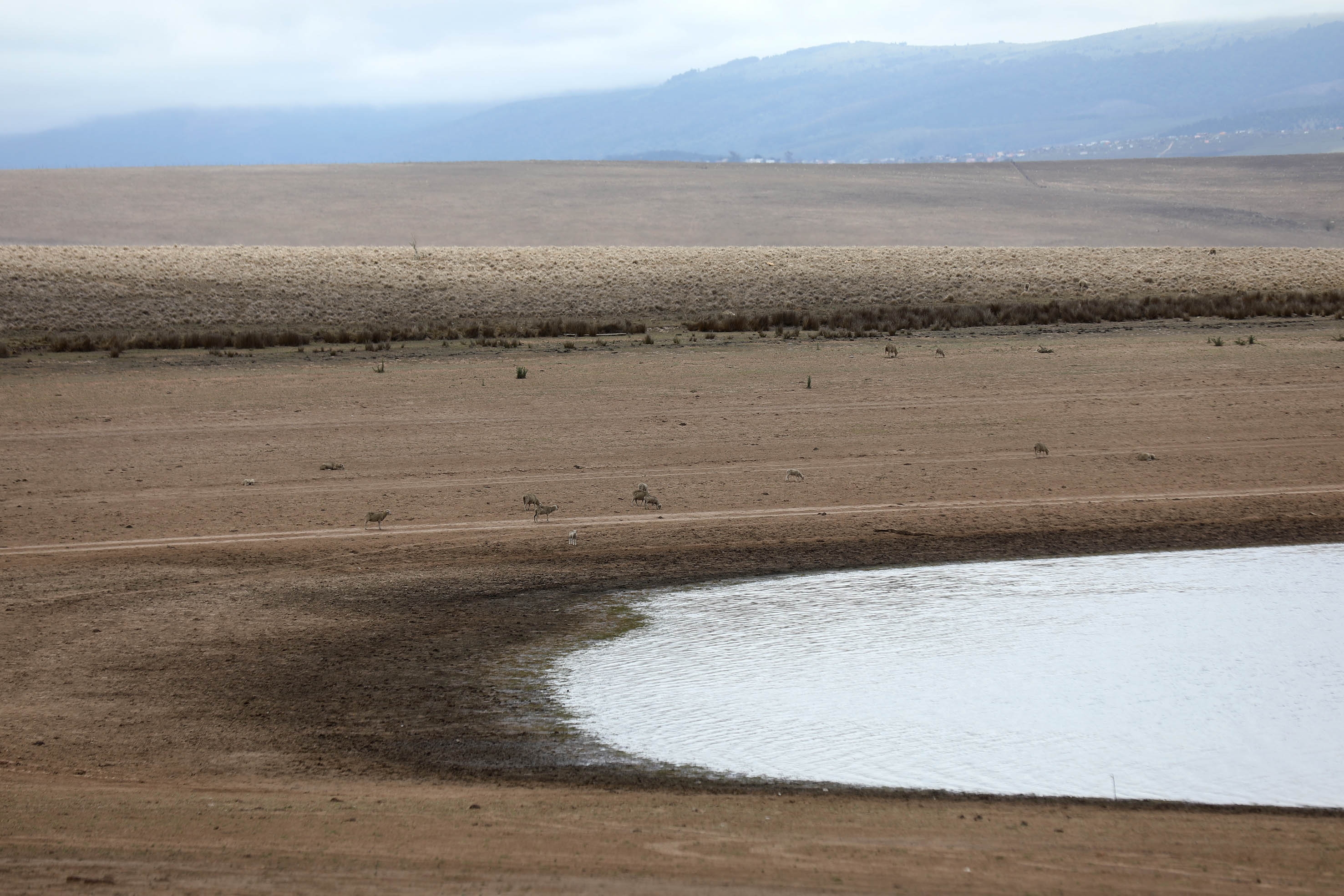 Water level drop at the Wriggleswade Dam