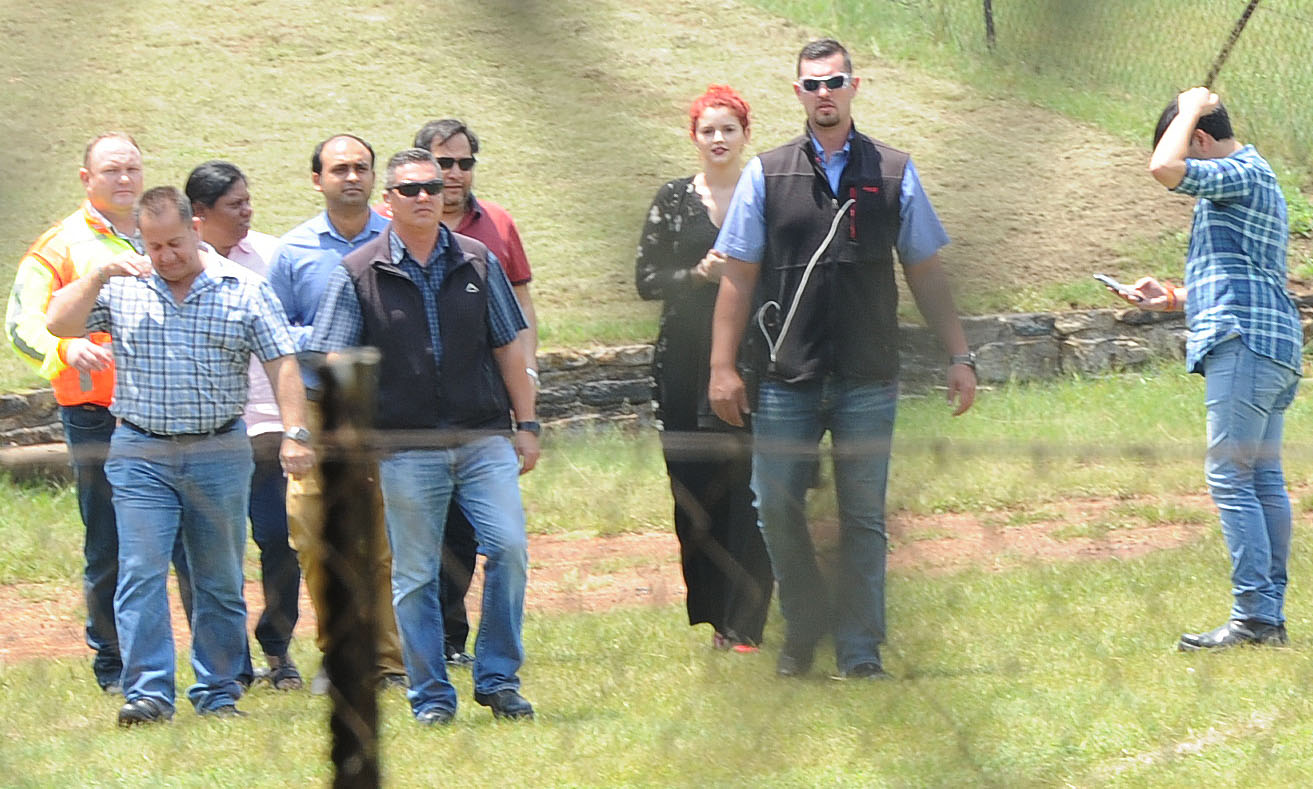 Gupta Inc strikes again with high court victory in ongoing Optimum battle