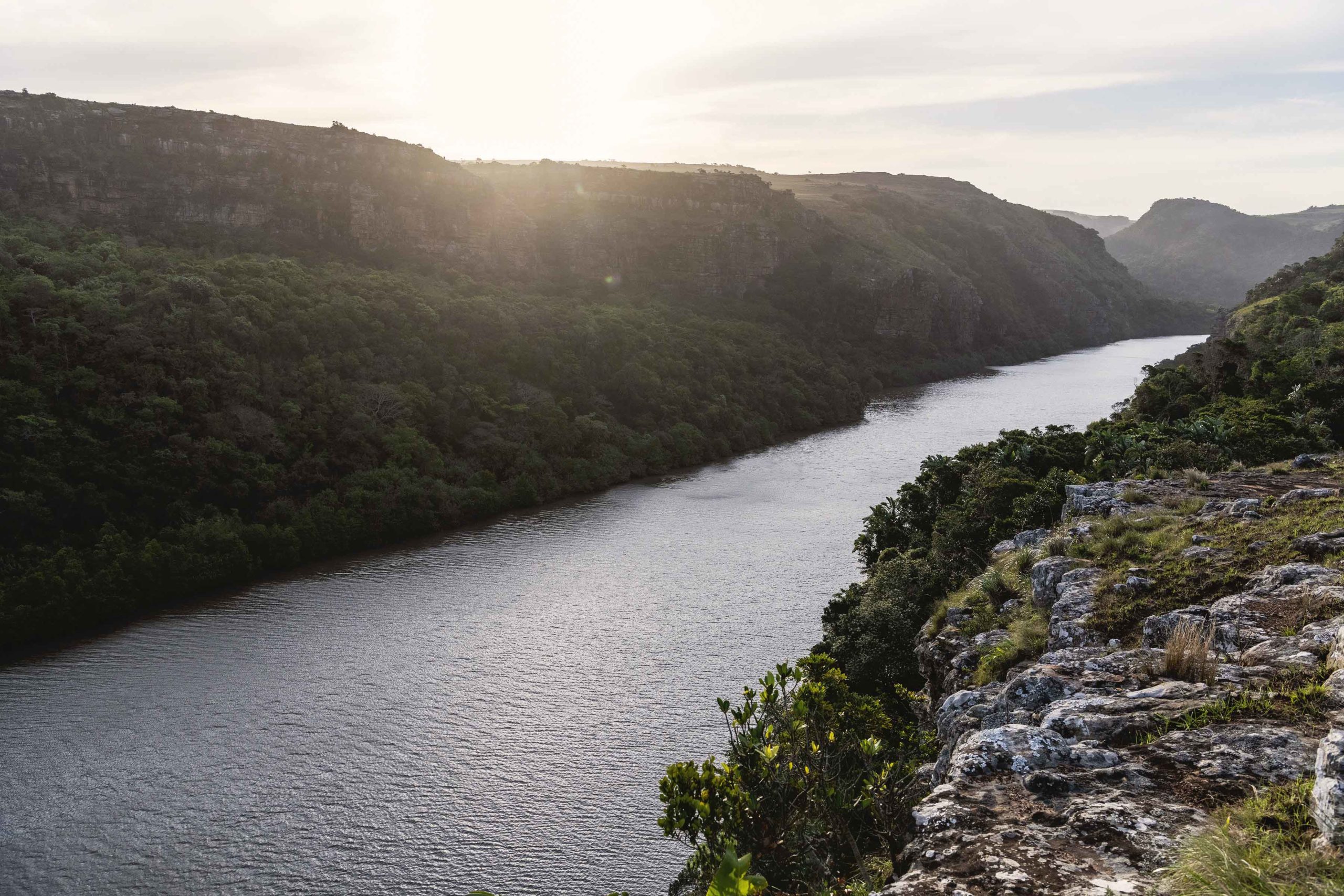 Where kings swim: Fears N2 Wild Coast Road project will threaten giant trevally migration while paving over residents’ histories 