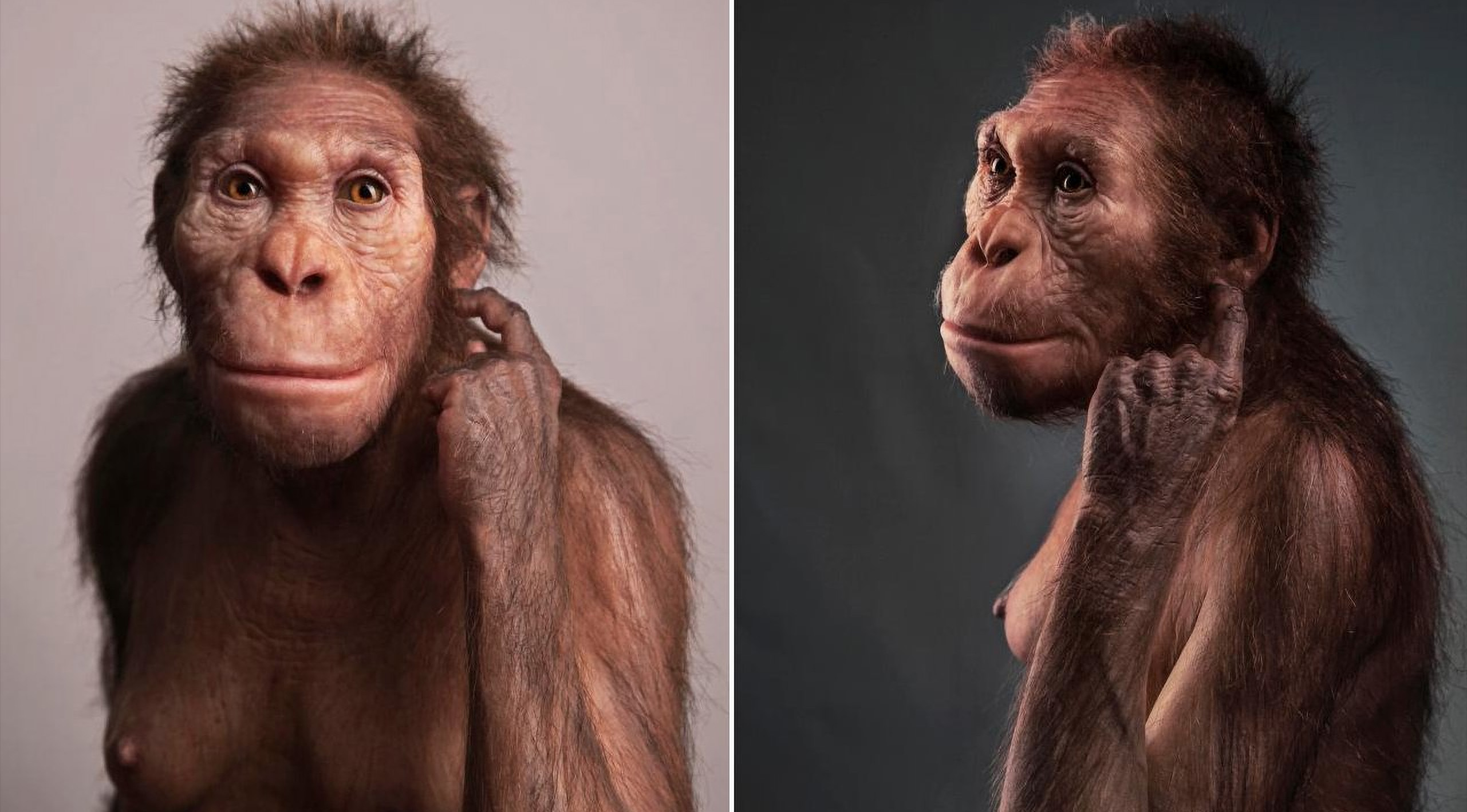 Two-million-year-old bones reveal how our ancient ancestors got about