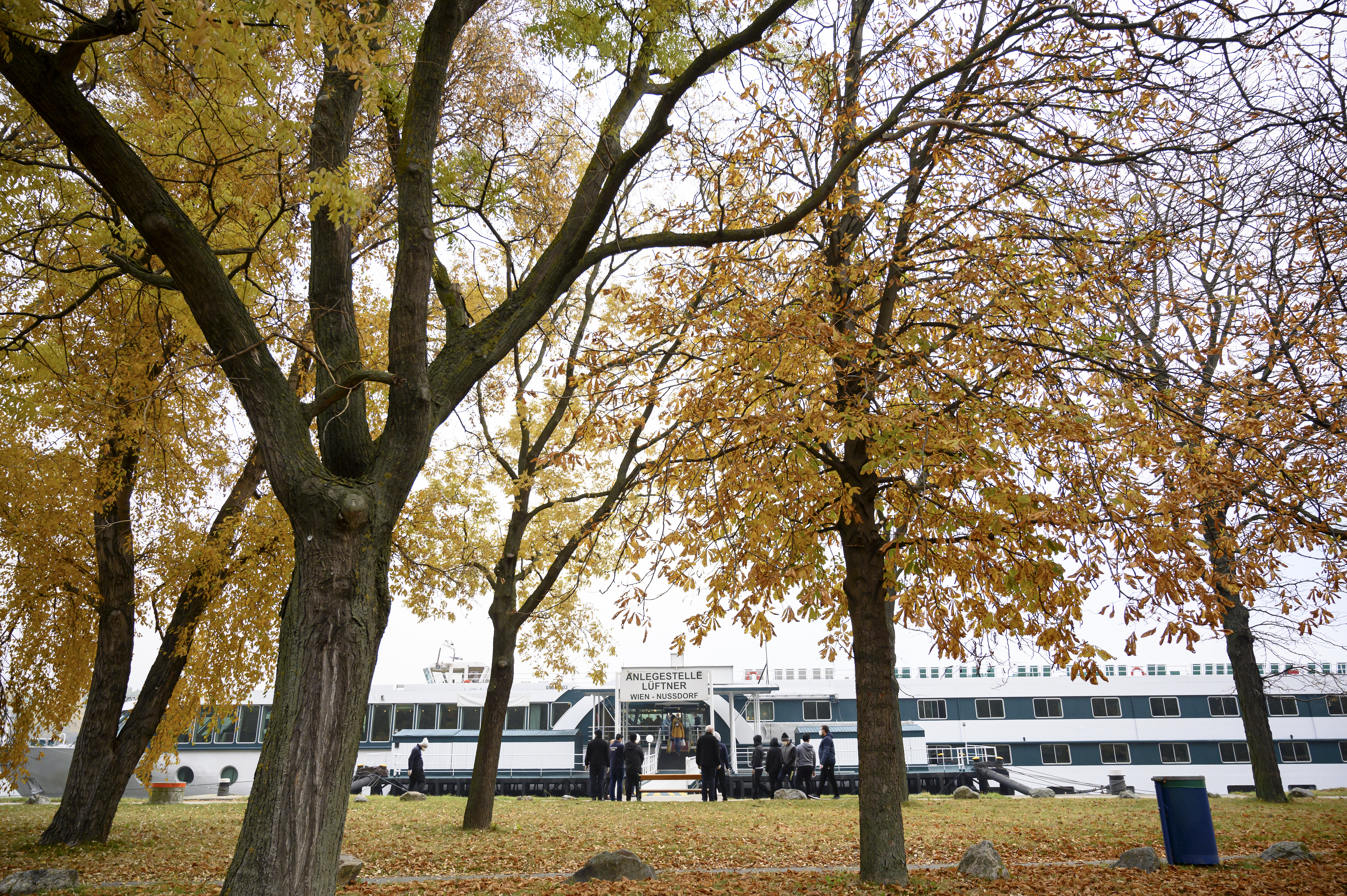 Passengers on river cruise ship in Vienna test positive for COVID-19