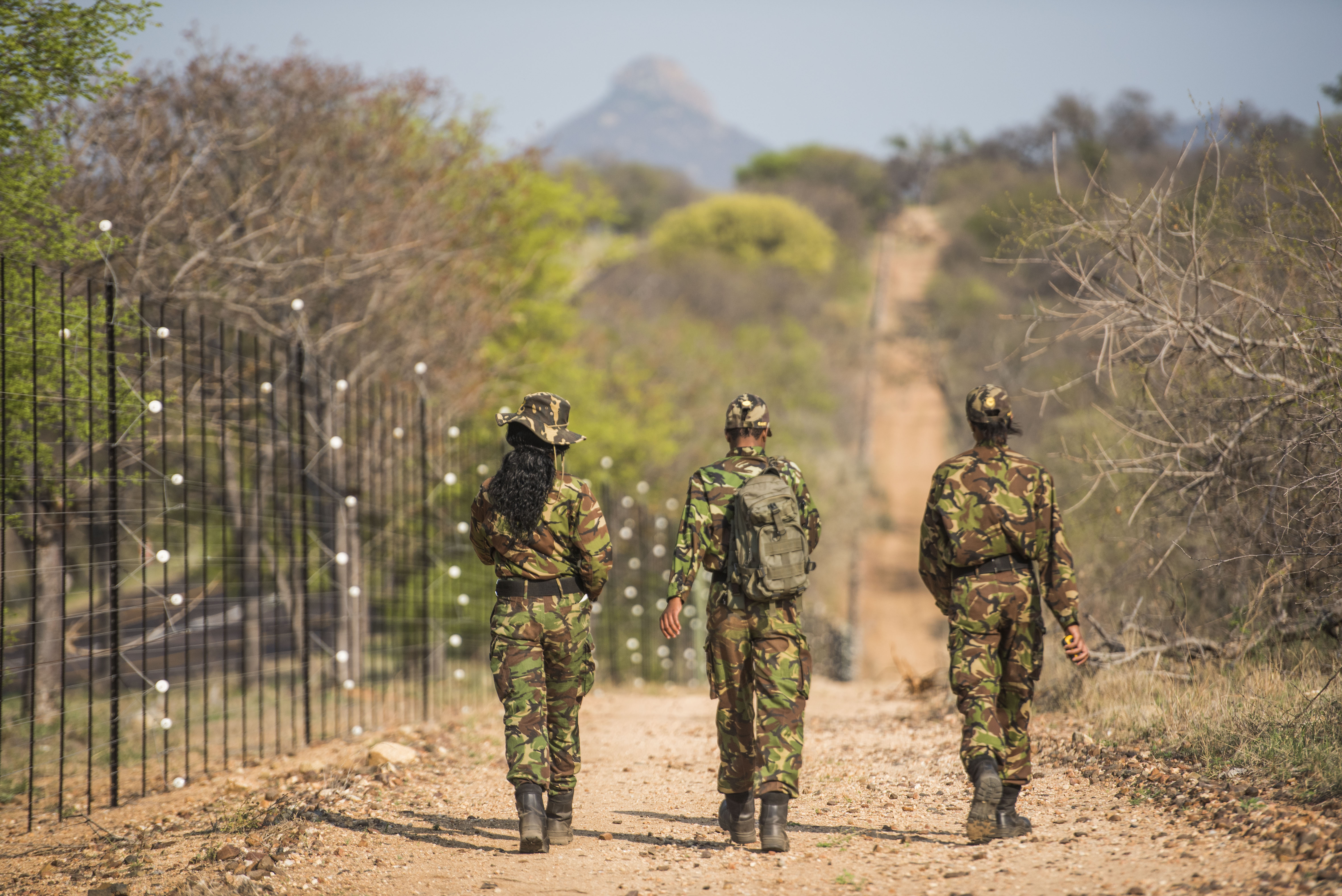 Statistical ecology can unlock the power of biodiversity data in Africa