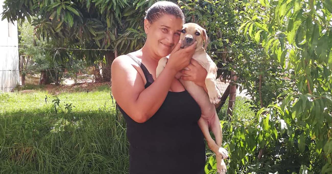 Virus has swept through Western Cape town of Clanwilliam, causing death and suffering to dozens of dogs