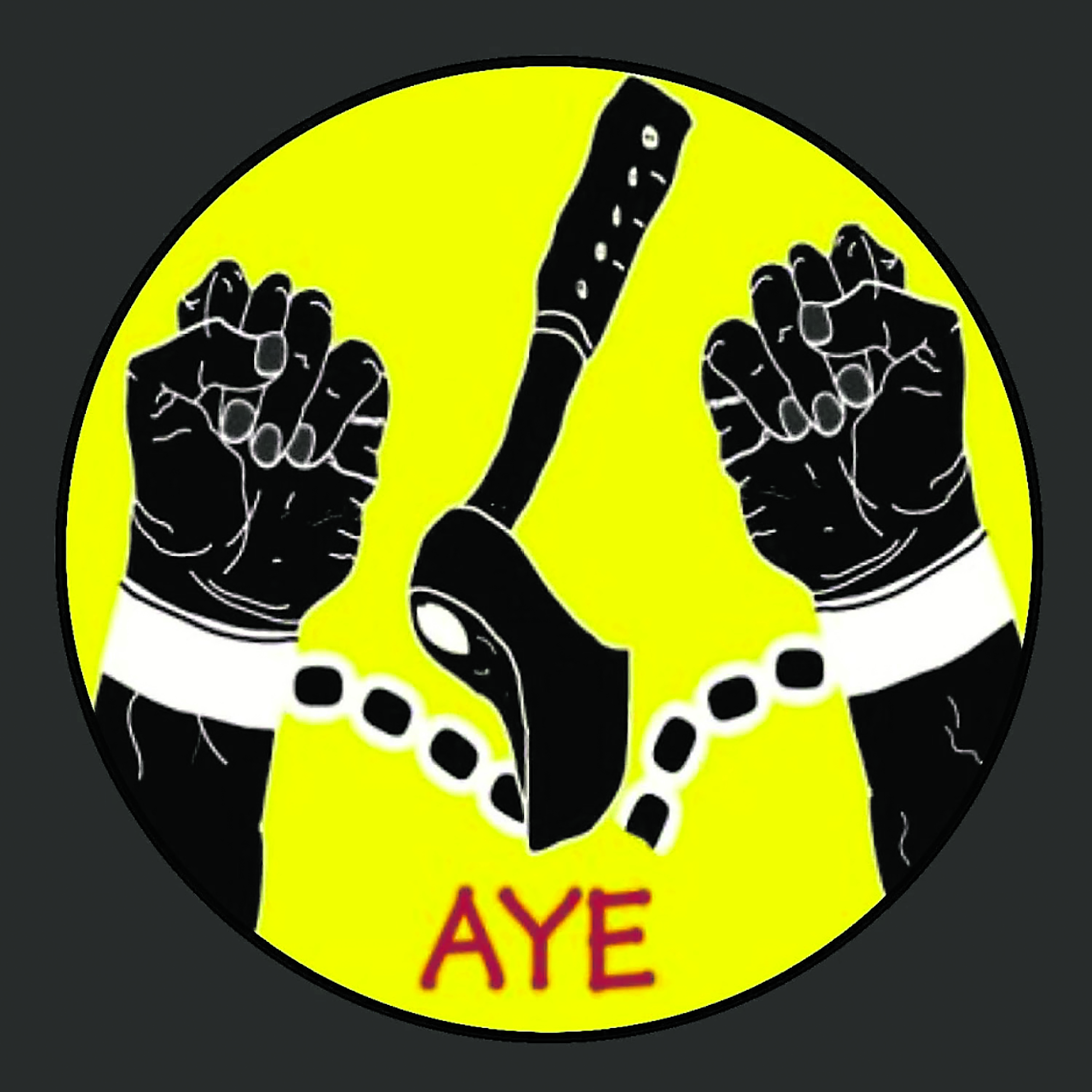 Global online ‘student cult' cybercrime syndicate busted in Cape Town