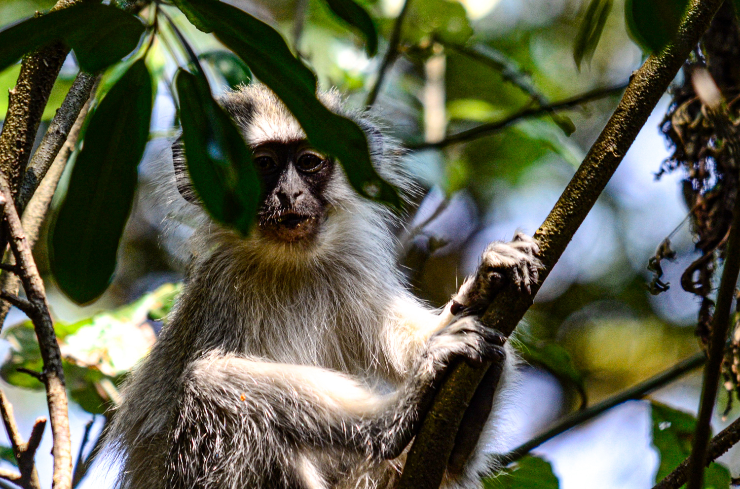Limpopo: Smiles, hope, tradition, perseverance and wildlife
