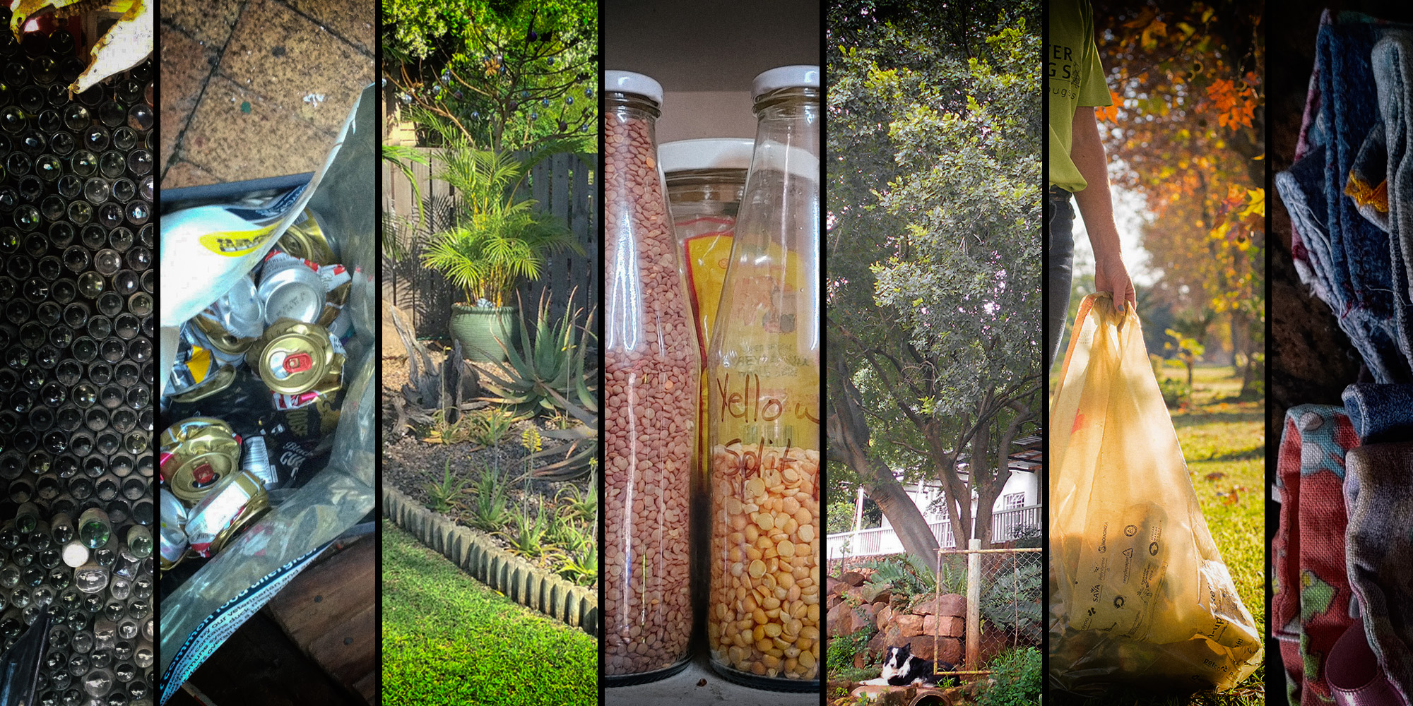 What our readers are doing to mitigate the climate crisis