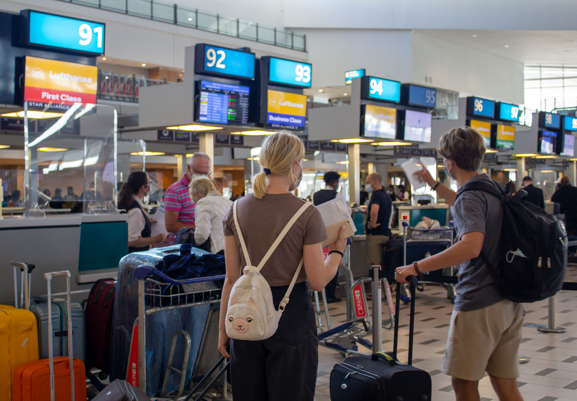 Flying blind at Cape Town International Airport: How Omicron has shaken travel plans and sent anxiety soaring