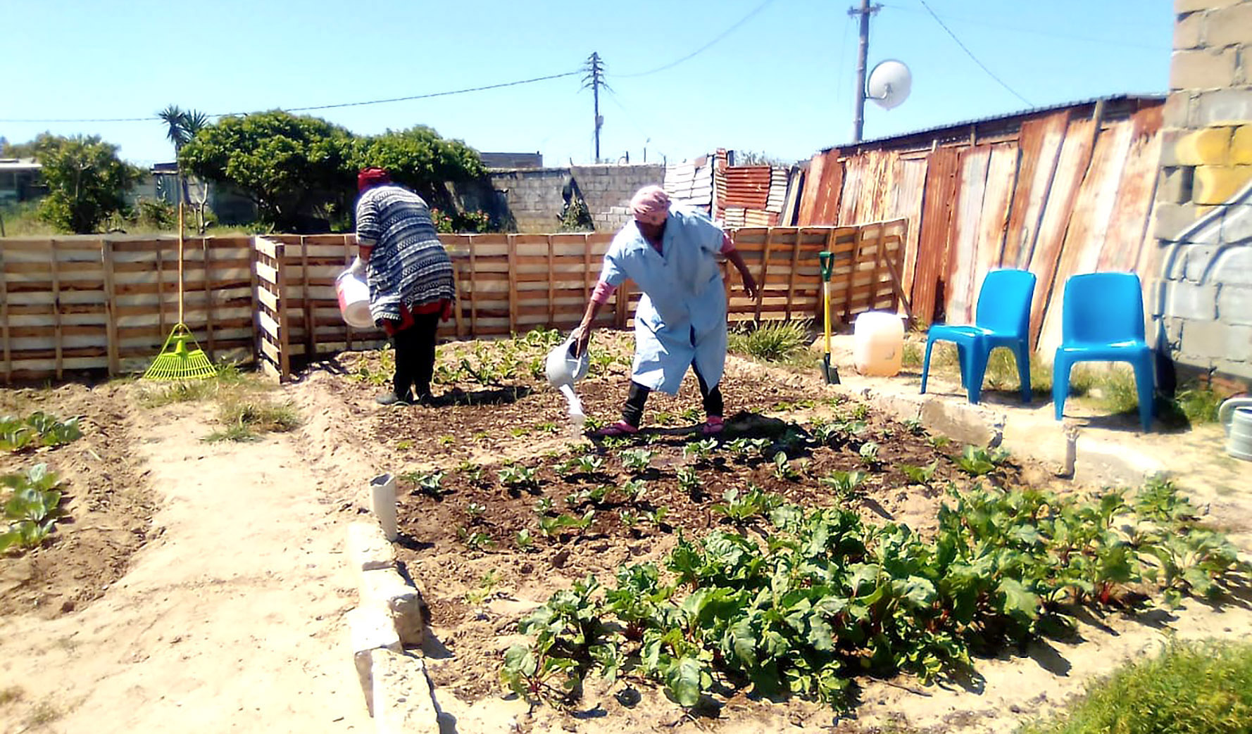 Photo essay: Maverick Citizen Food Garden Competition