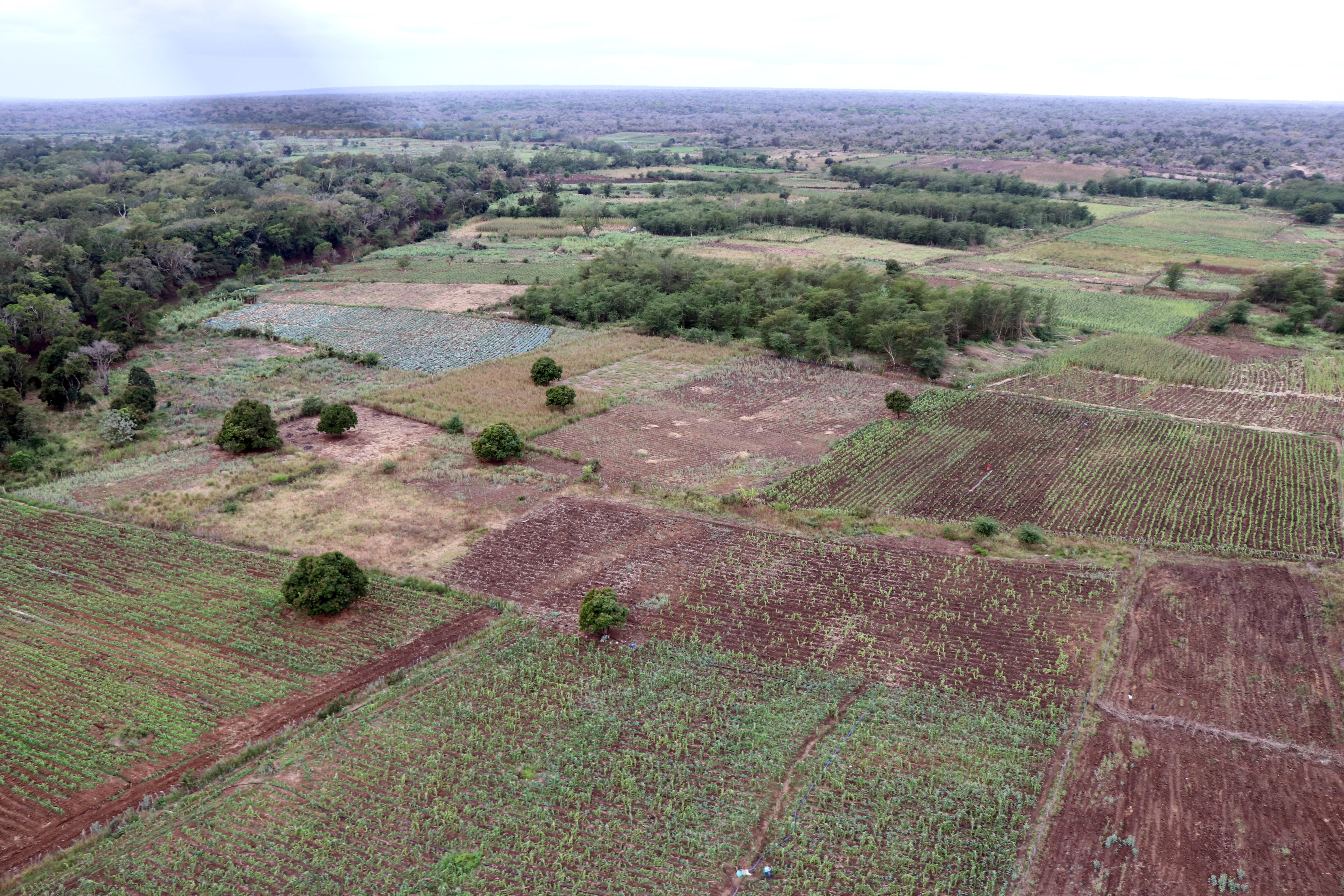 Ndumo Game Reserve: The complicated balancing act of subsistence farming and nature conservation in KwaZulu-Natal