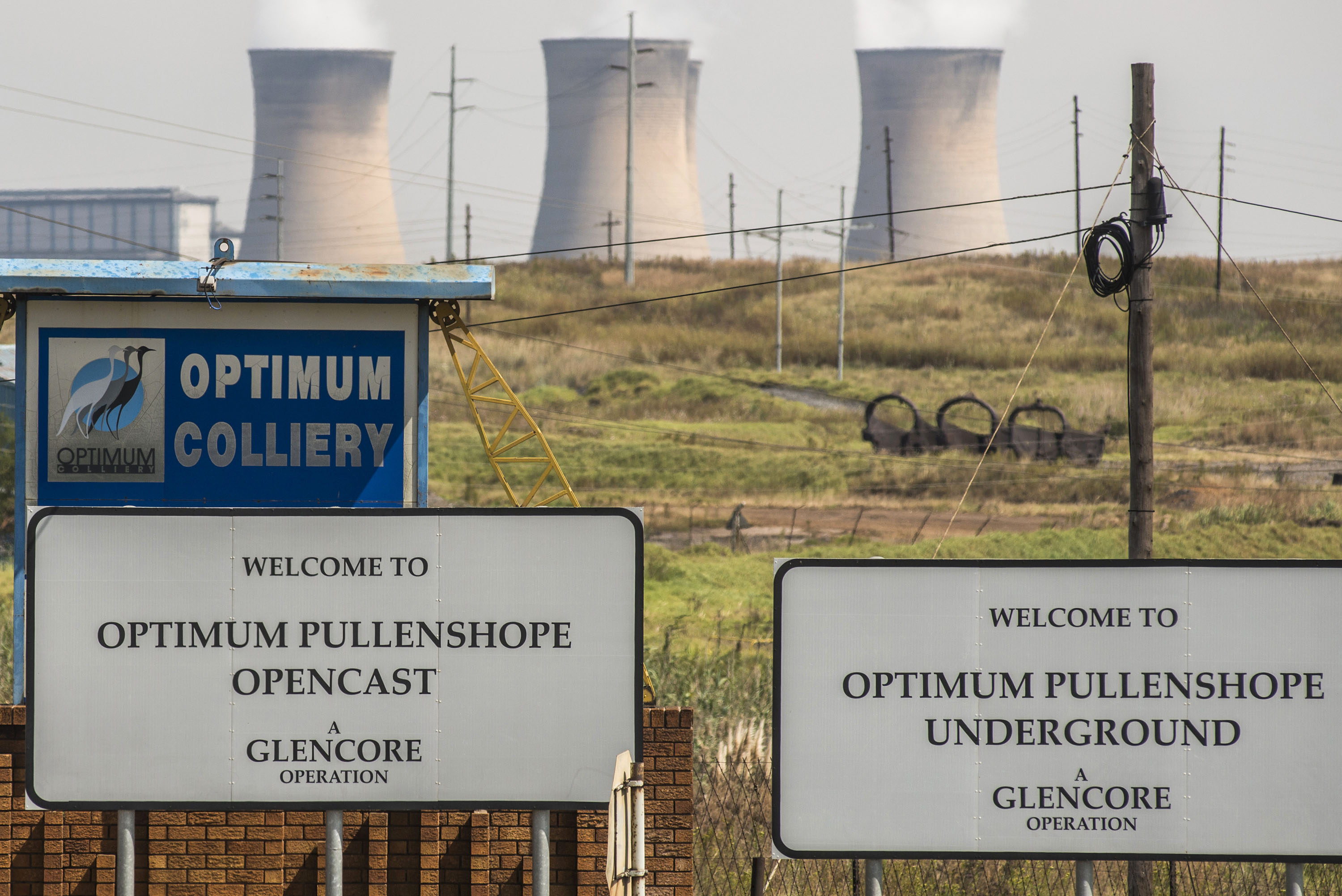 Optimum Coal: NPA's Hermione Cronje wants curator to step in to protect ‘interest of the State’