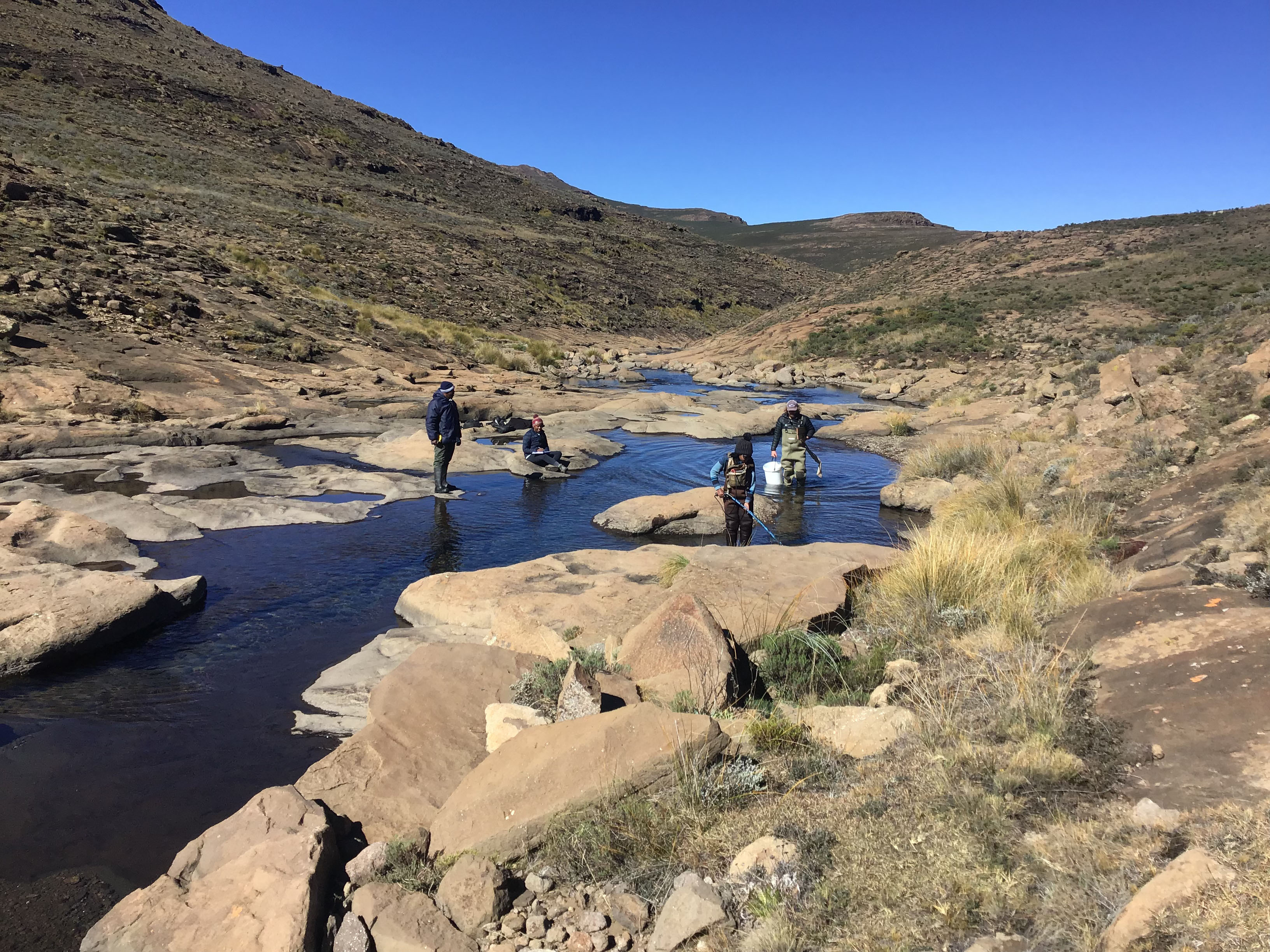 TonyC-littlefishies8