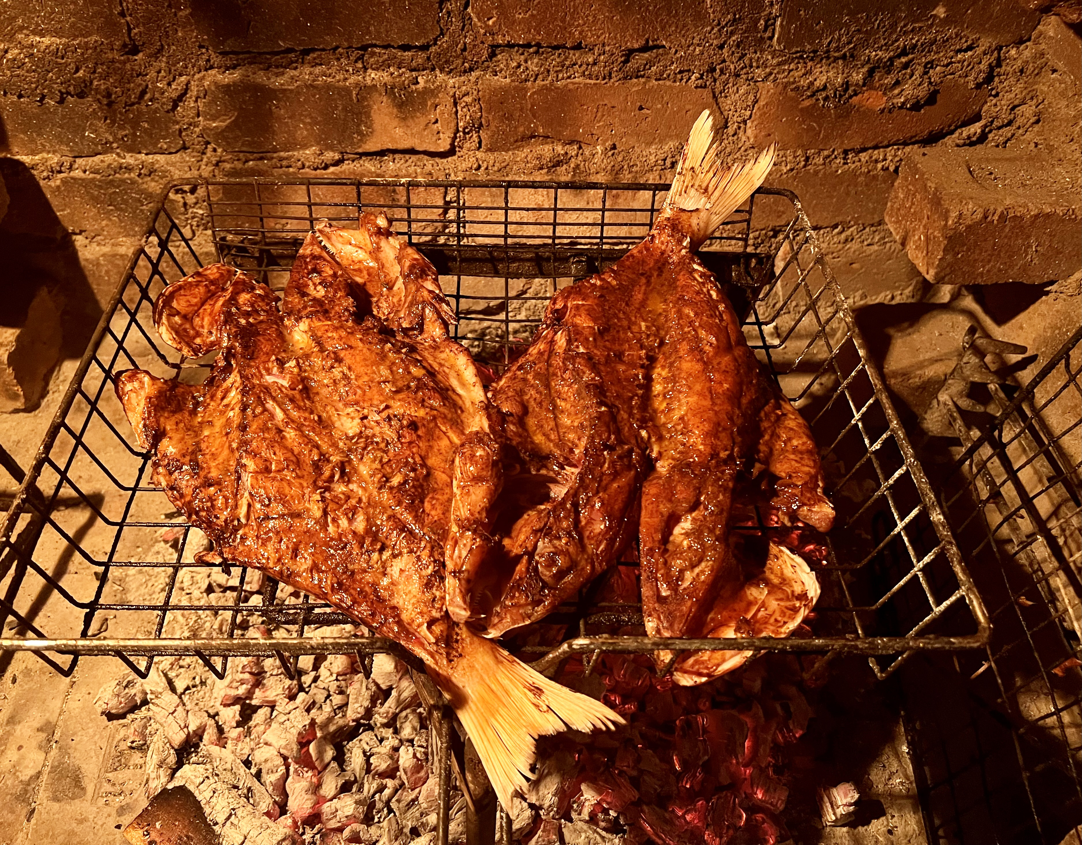 What’s cooking today: Black garlic carpenter fish on the braai