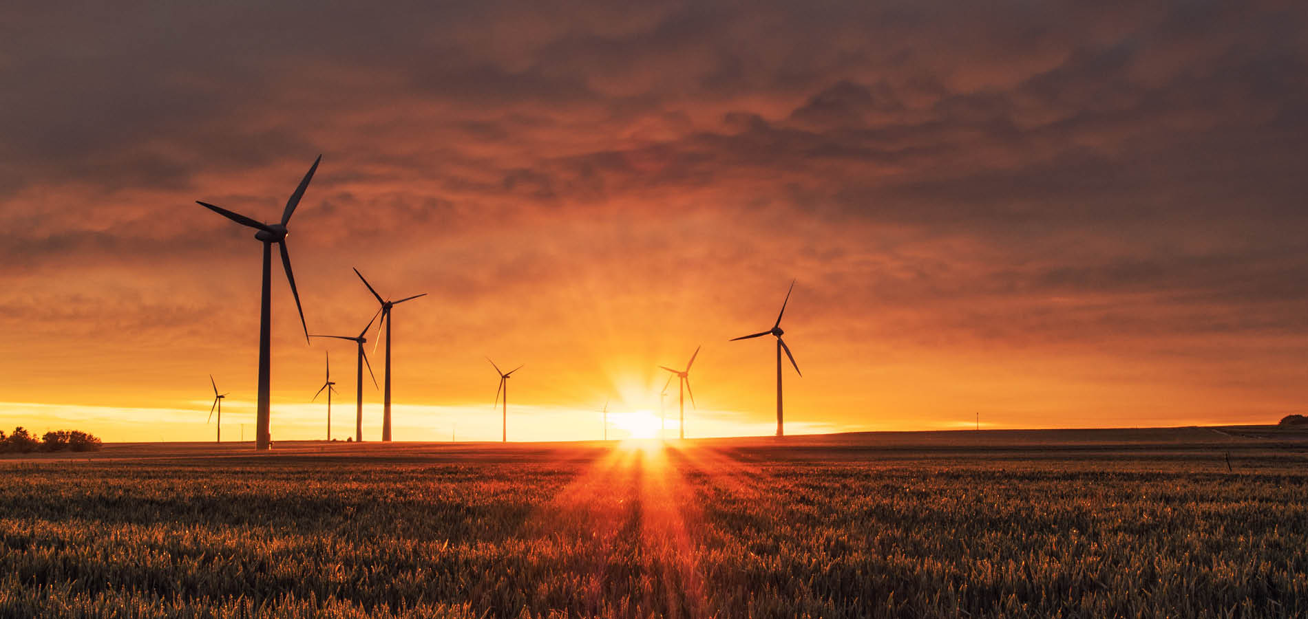 The case for stronger action on sustainability